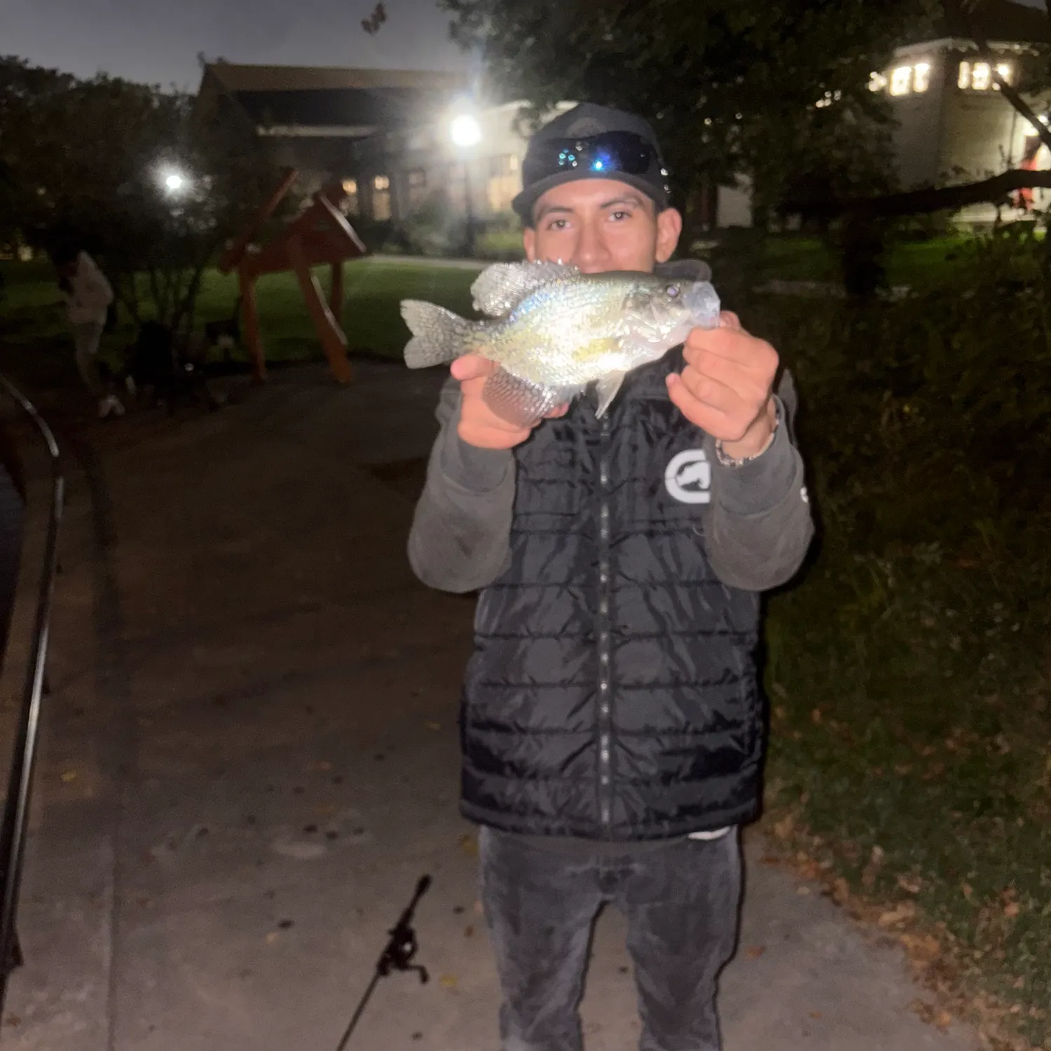 White crappie caught on Fishbrain