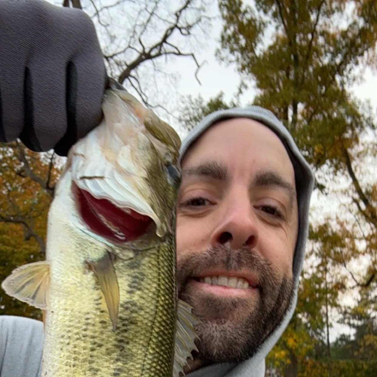 Largemouth bass caught on Fishbrain