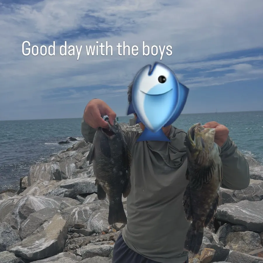 Cabezon caught on Fishbrain