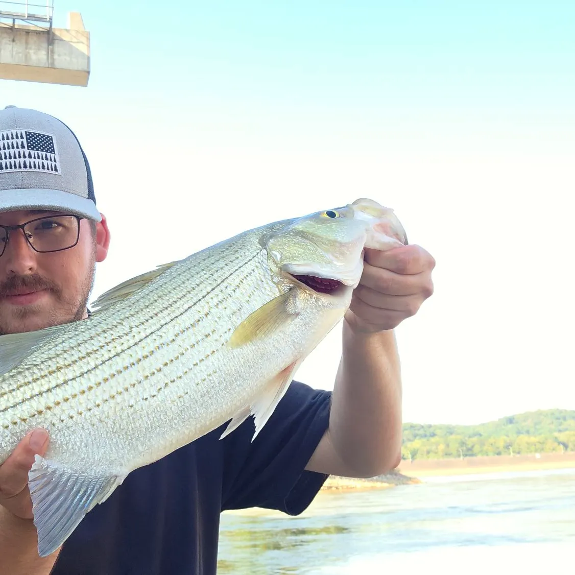 Wiper caught on Fishbrain