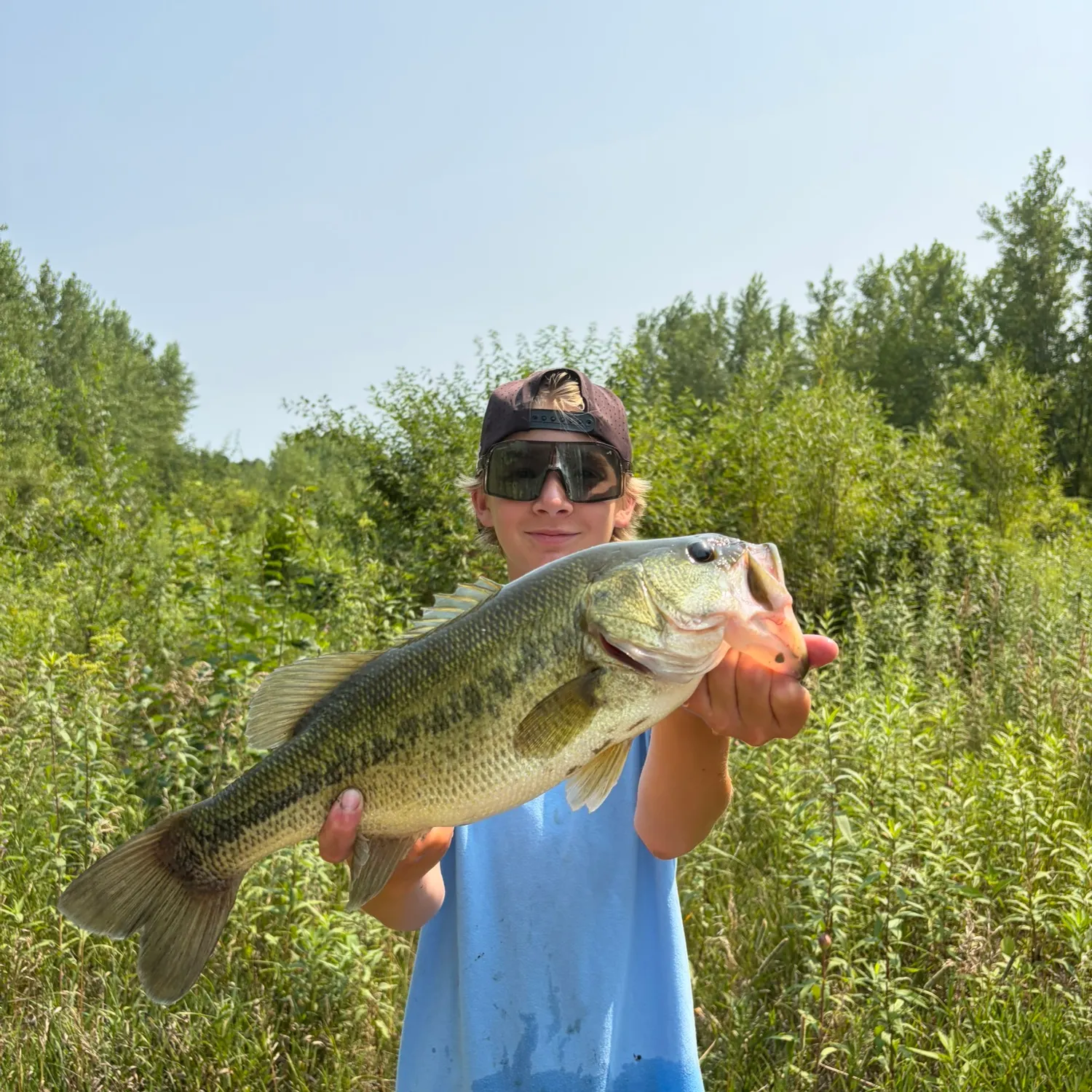 Largemouth bass caught on Fishbrain