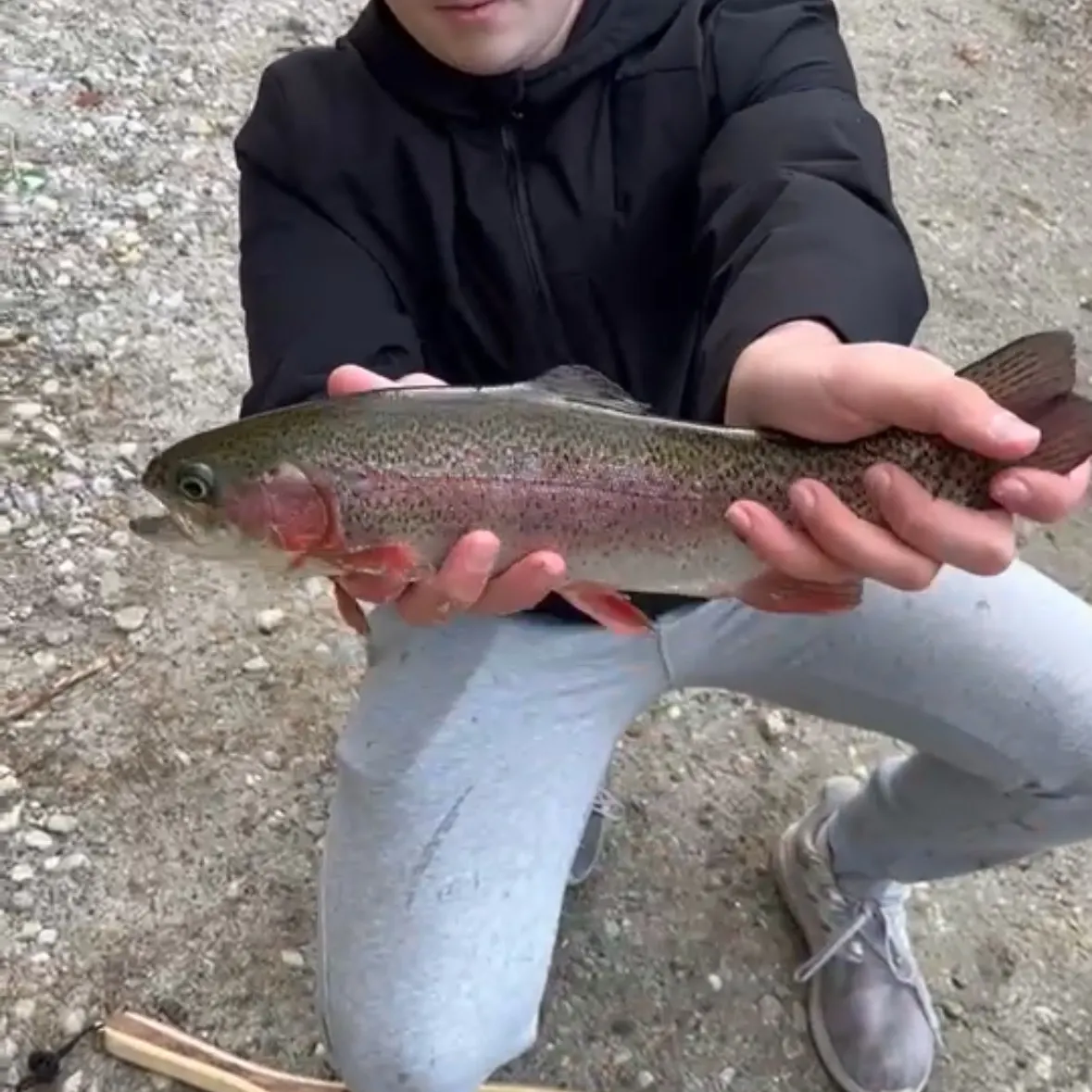 Rainbow trout caught on Fishbrain