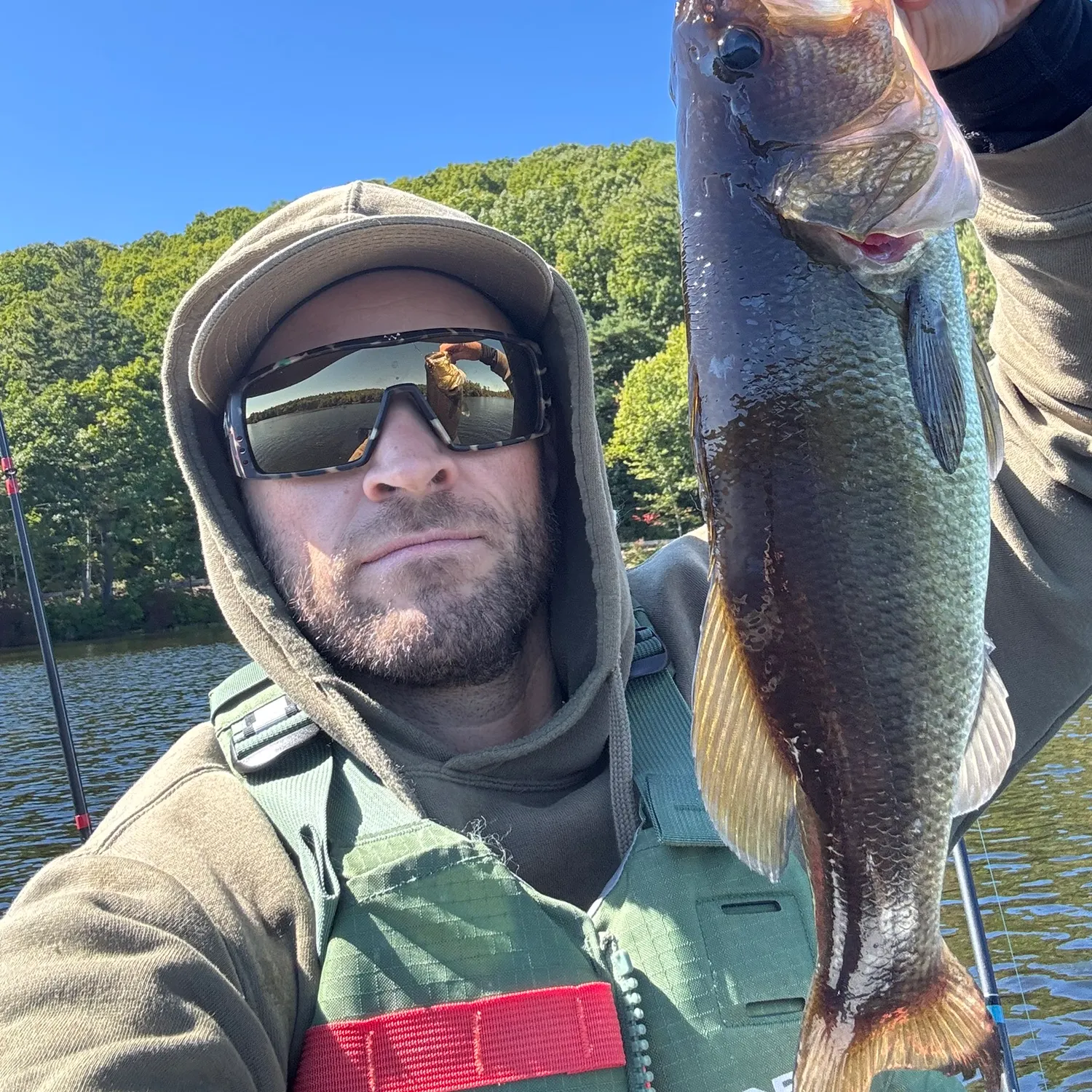 Largemouth bass caught on Fishbrain