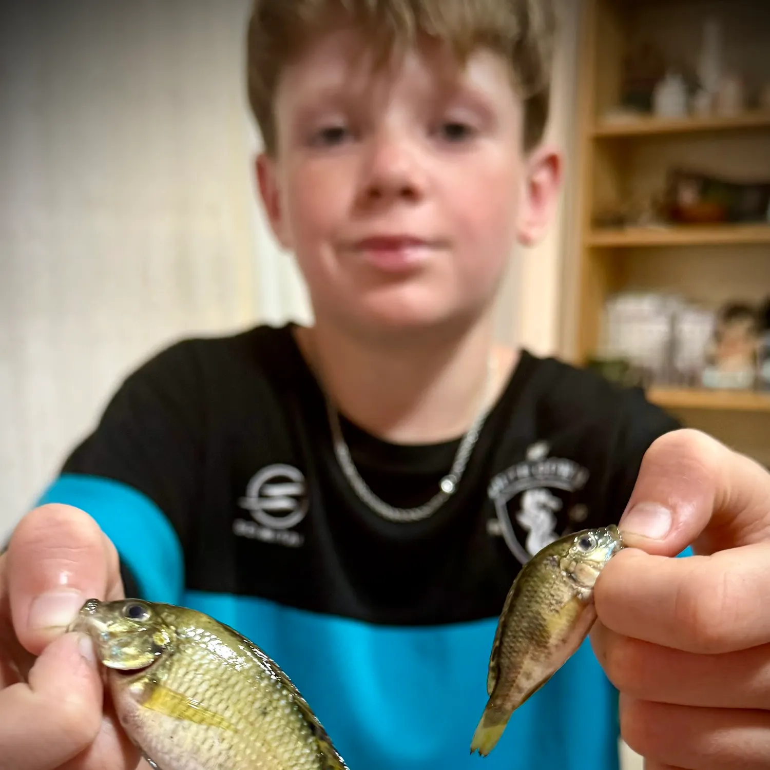 The most recent Goldlined seabream catches on Fishbrain