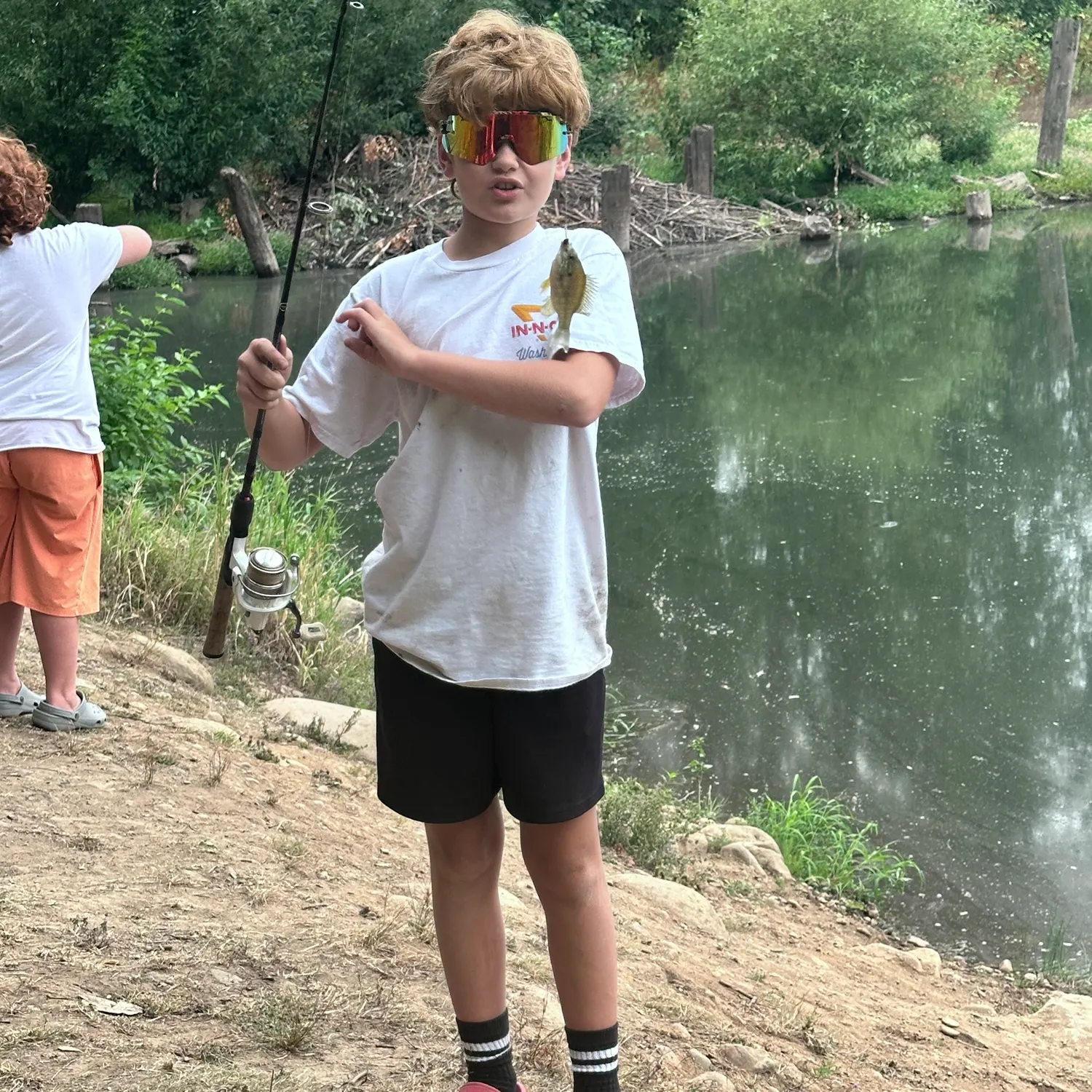 Bluegill caught on Fishbrain