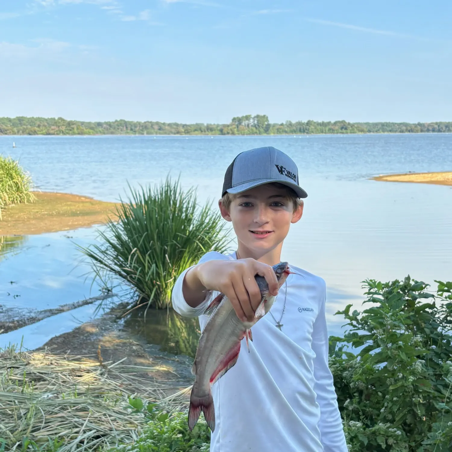 Blue catfish caught on Fishbrain