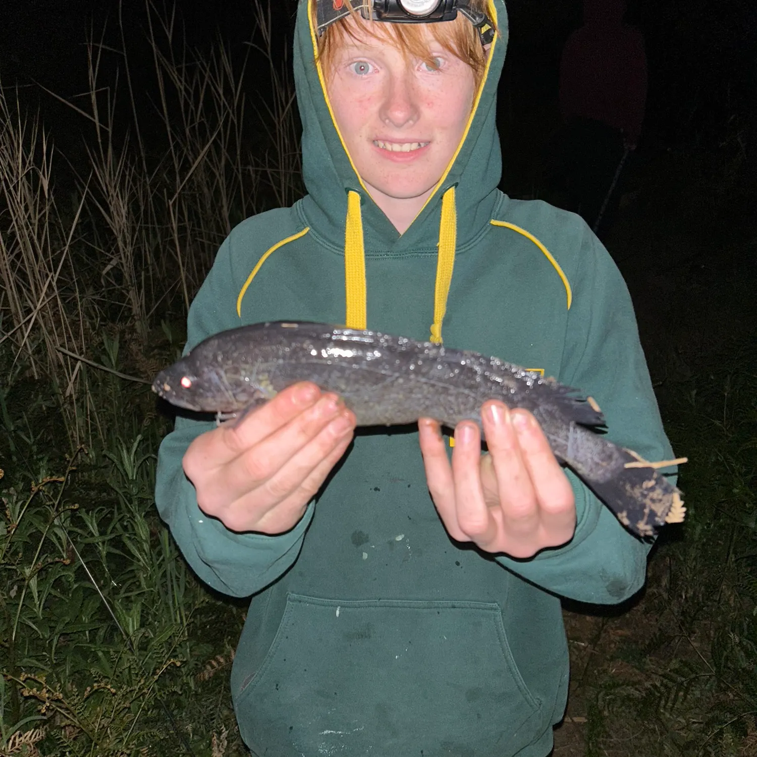 The most recent River blackfish catches on Fishbrain