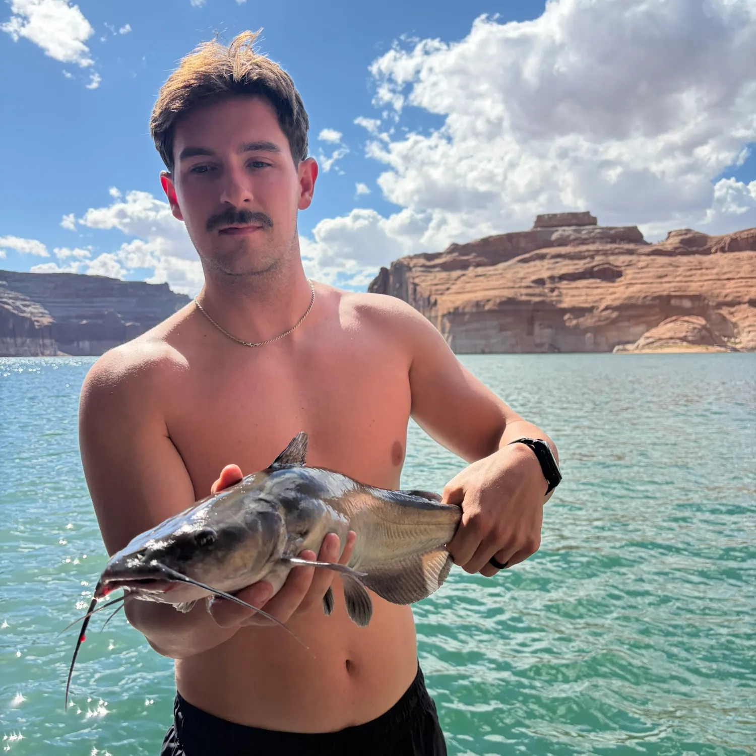 Channel catfish caught on Fishbrain