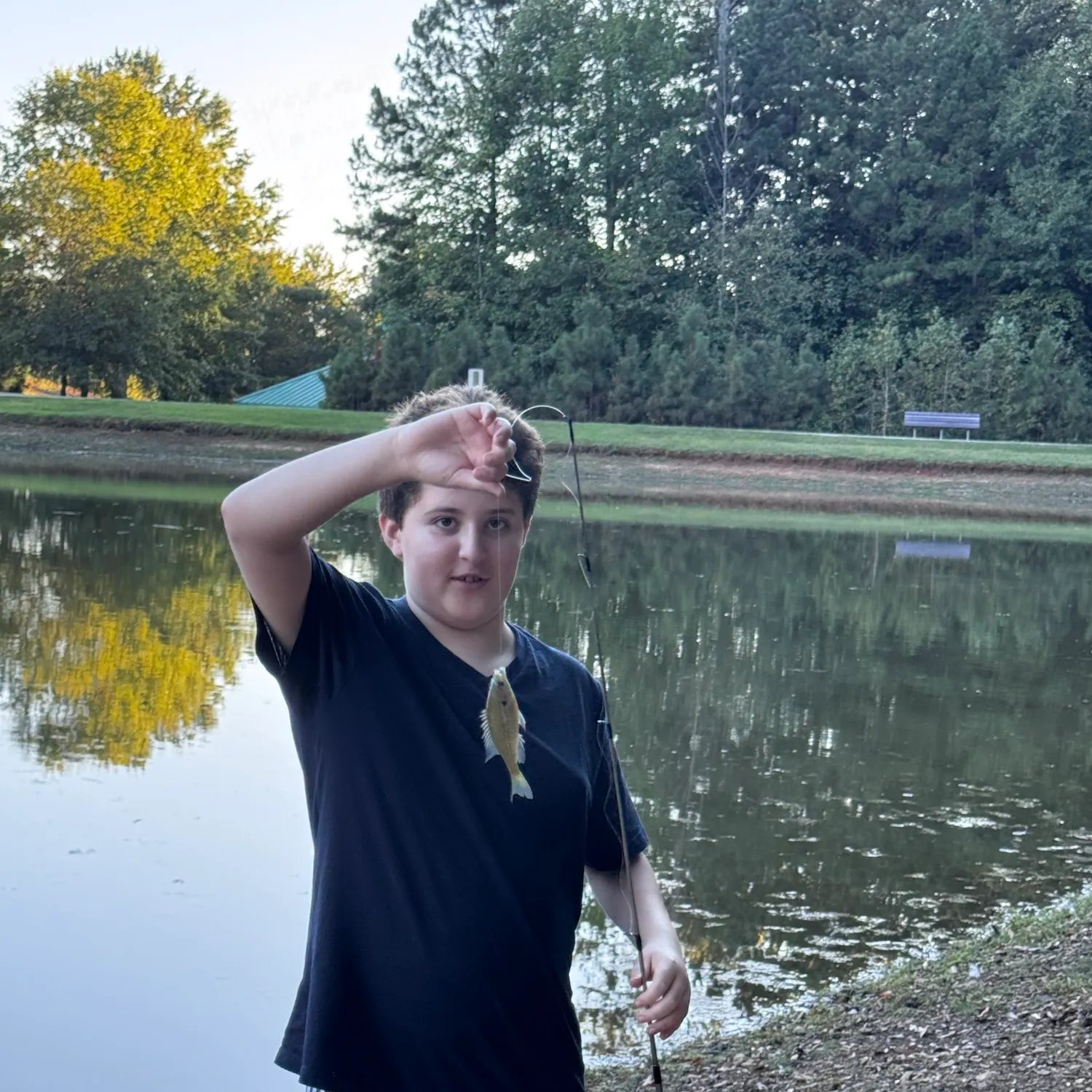 Bluegill caught on Fishbrain
