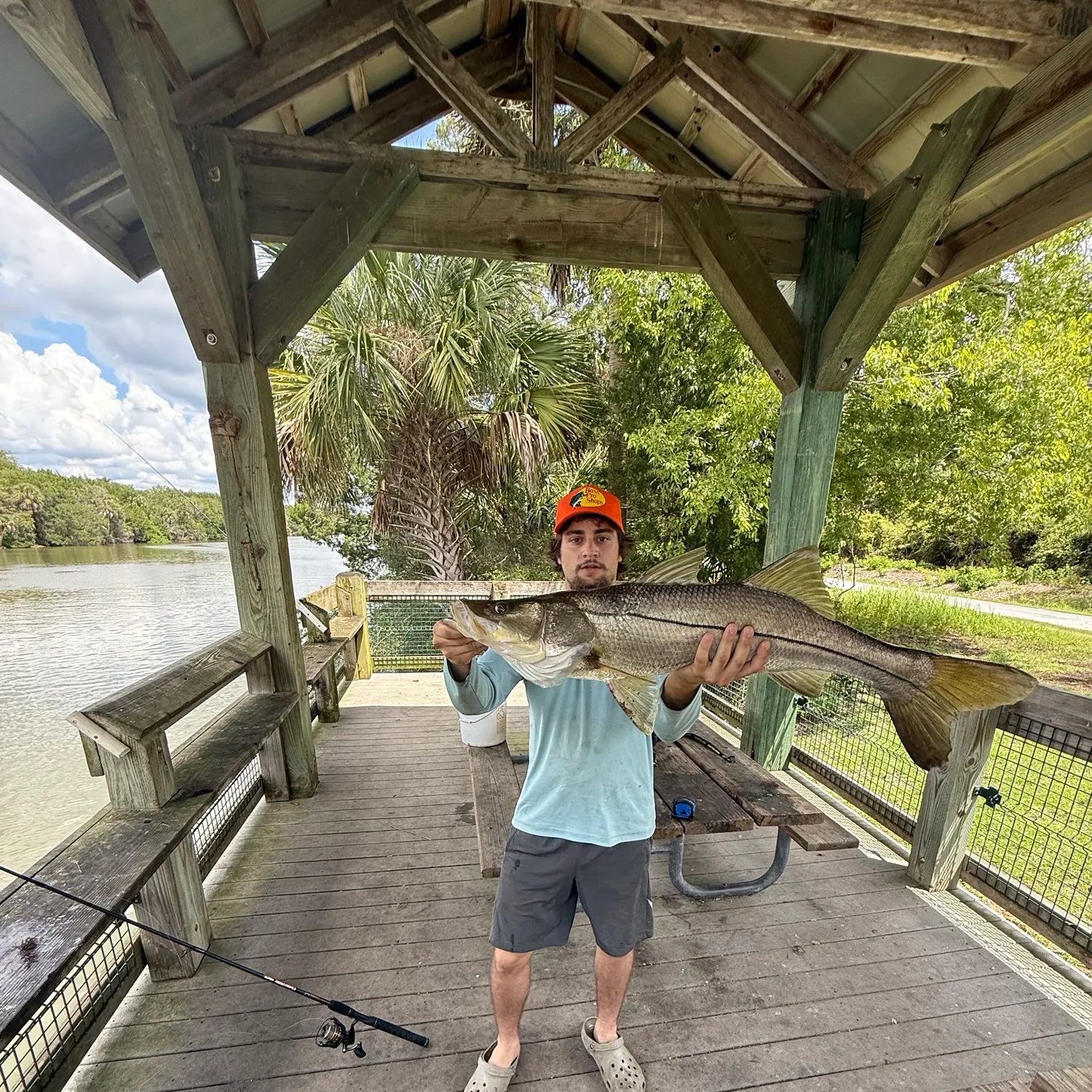 Common snook caught on Fishbrain