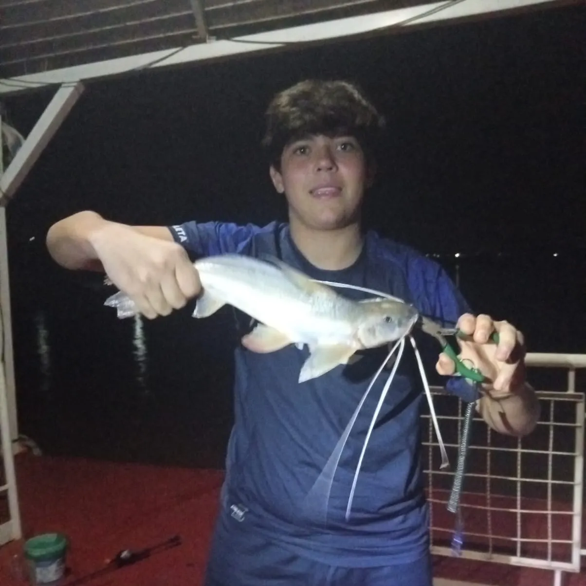 Channel catfish caught on Fishbrain