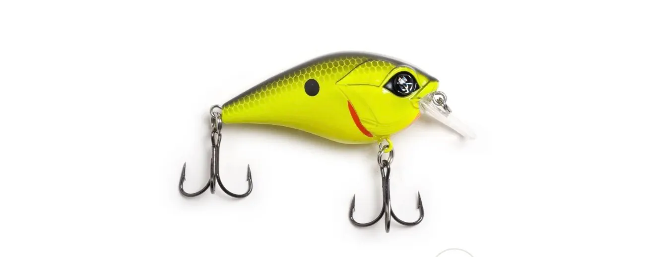 Crankbait