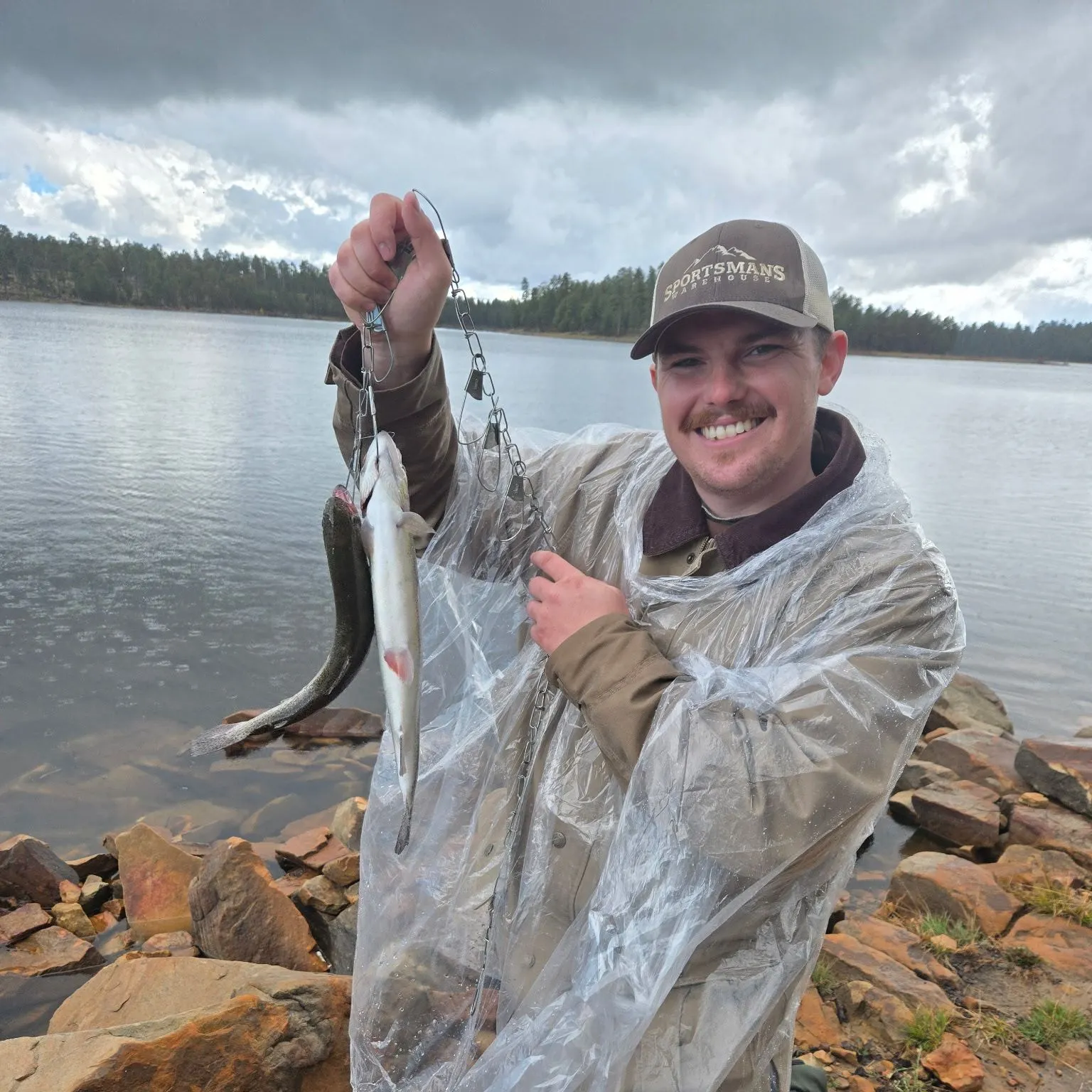 Rainbow trout caught on Fishbrain