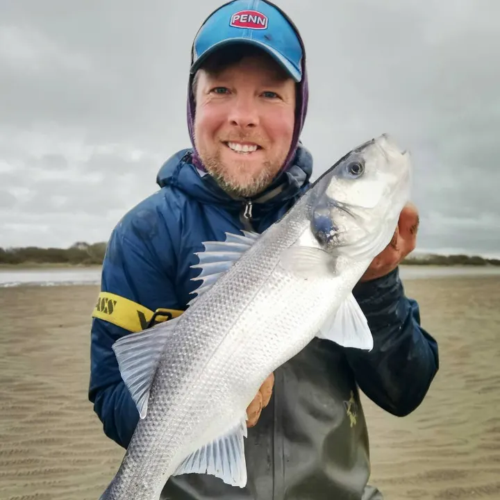 The most popular recent European seabass catch on Fishbrain