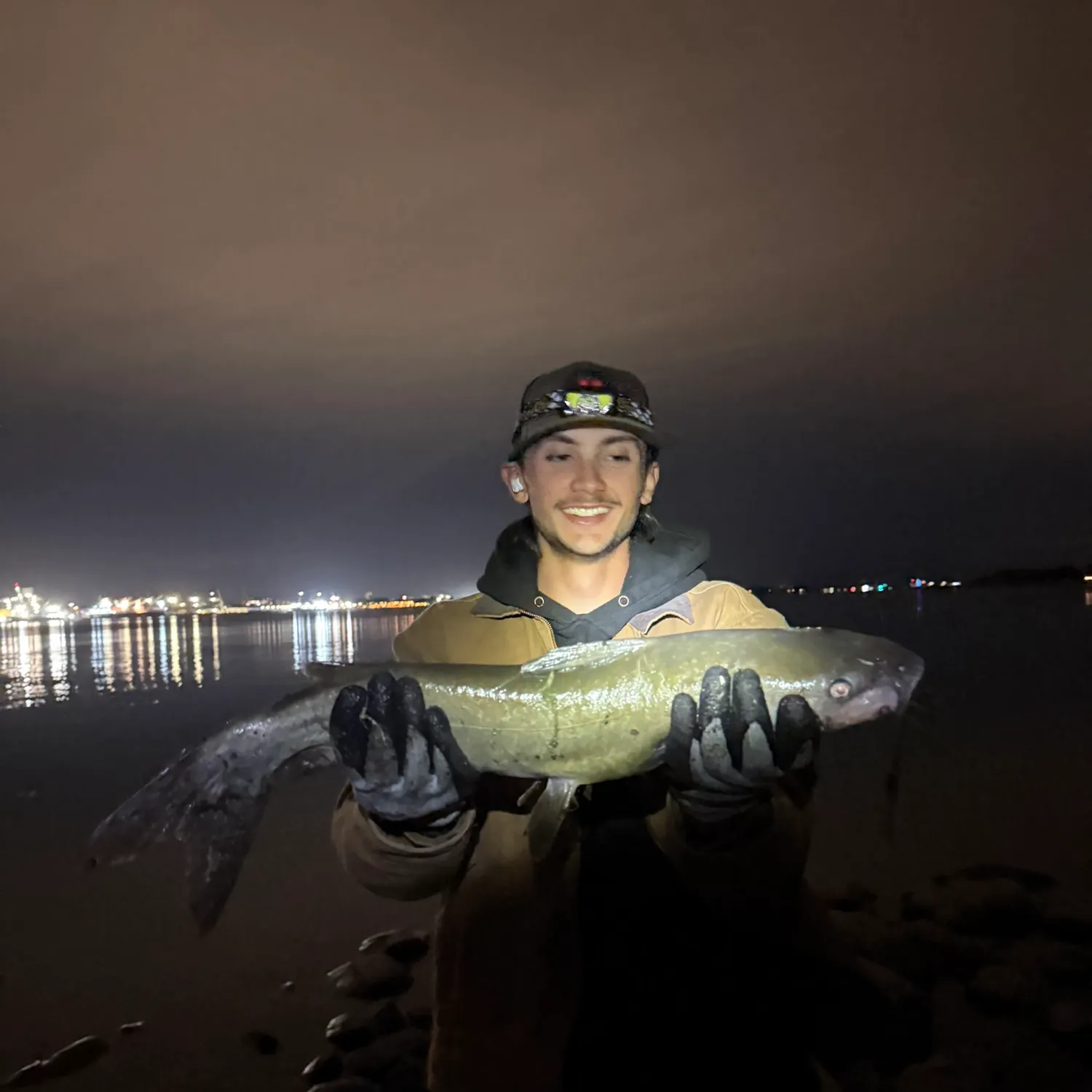 Channel catfish caught on Fishbrain