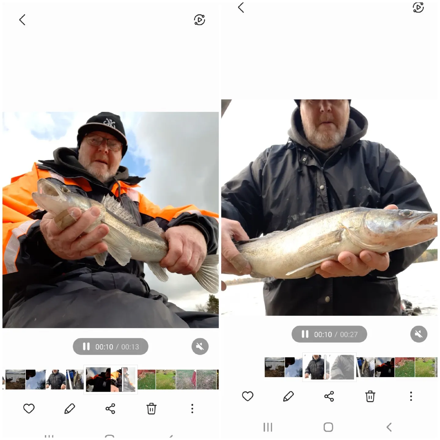 recently logged catches