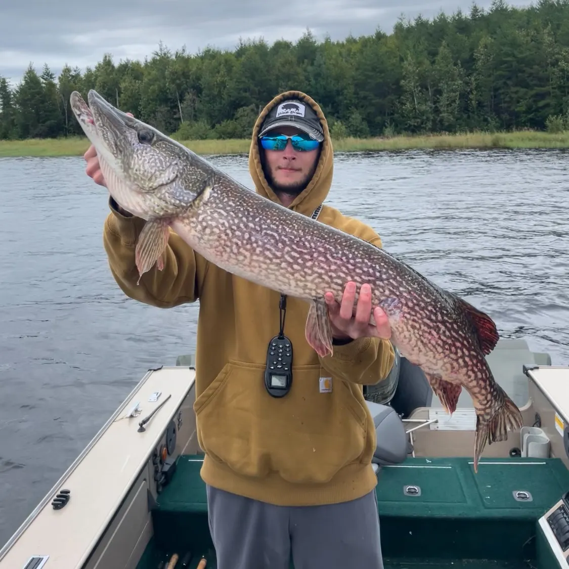 Northern pike caught on Fishbrain