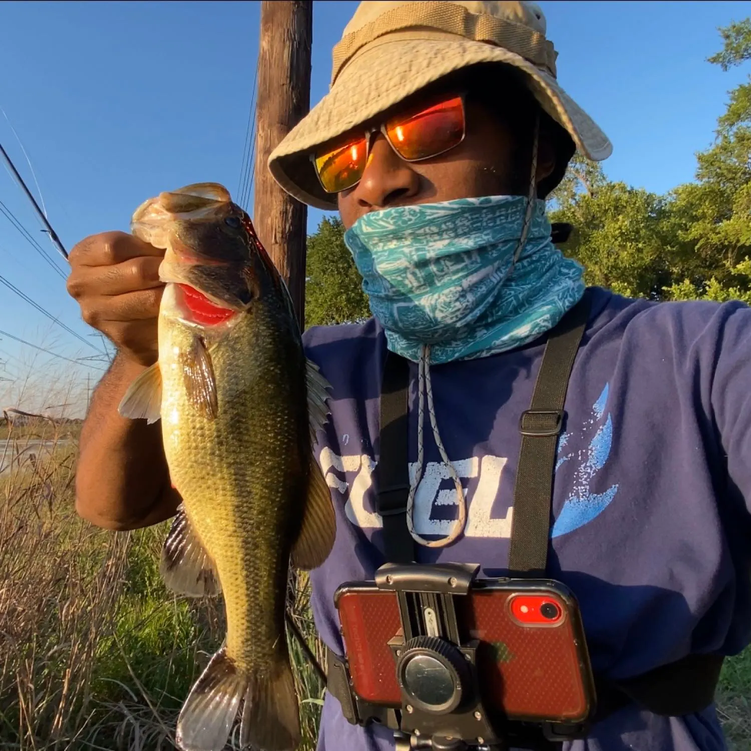 Largemouth bass caught on Fishbrain