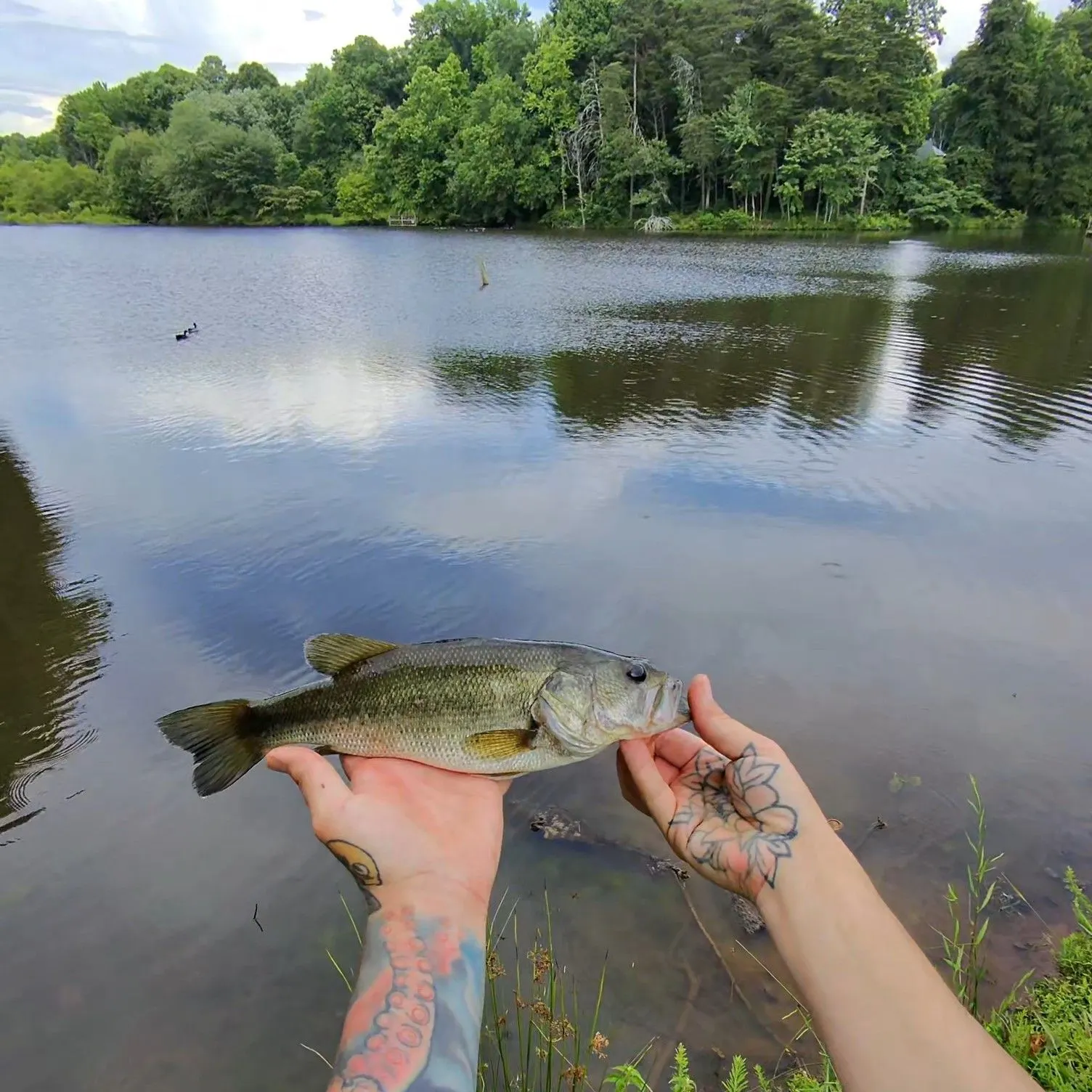 catch