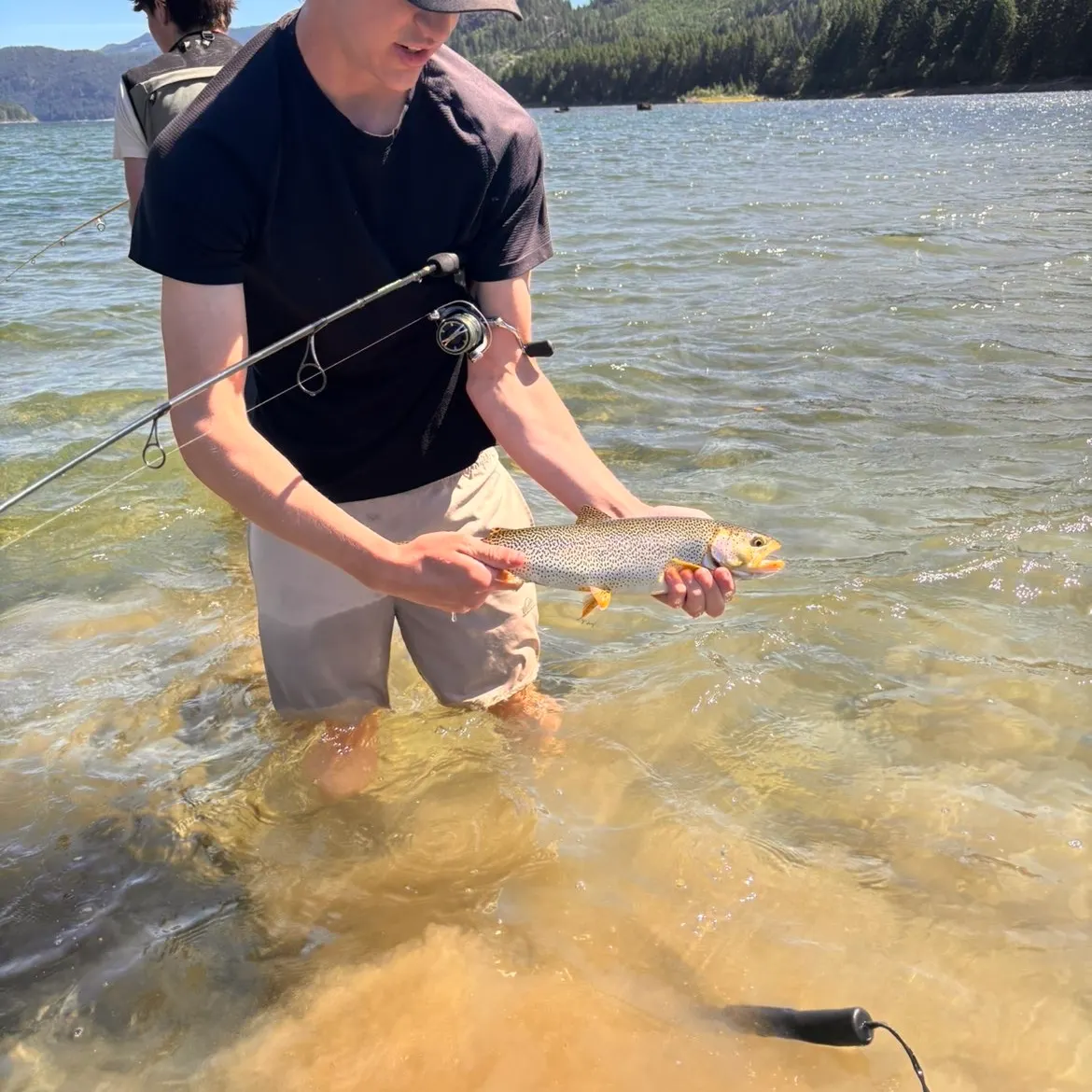 Coastal cutthroat trout caught on Fishbrain