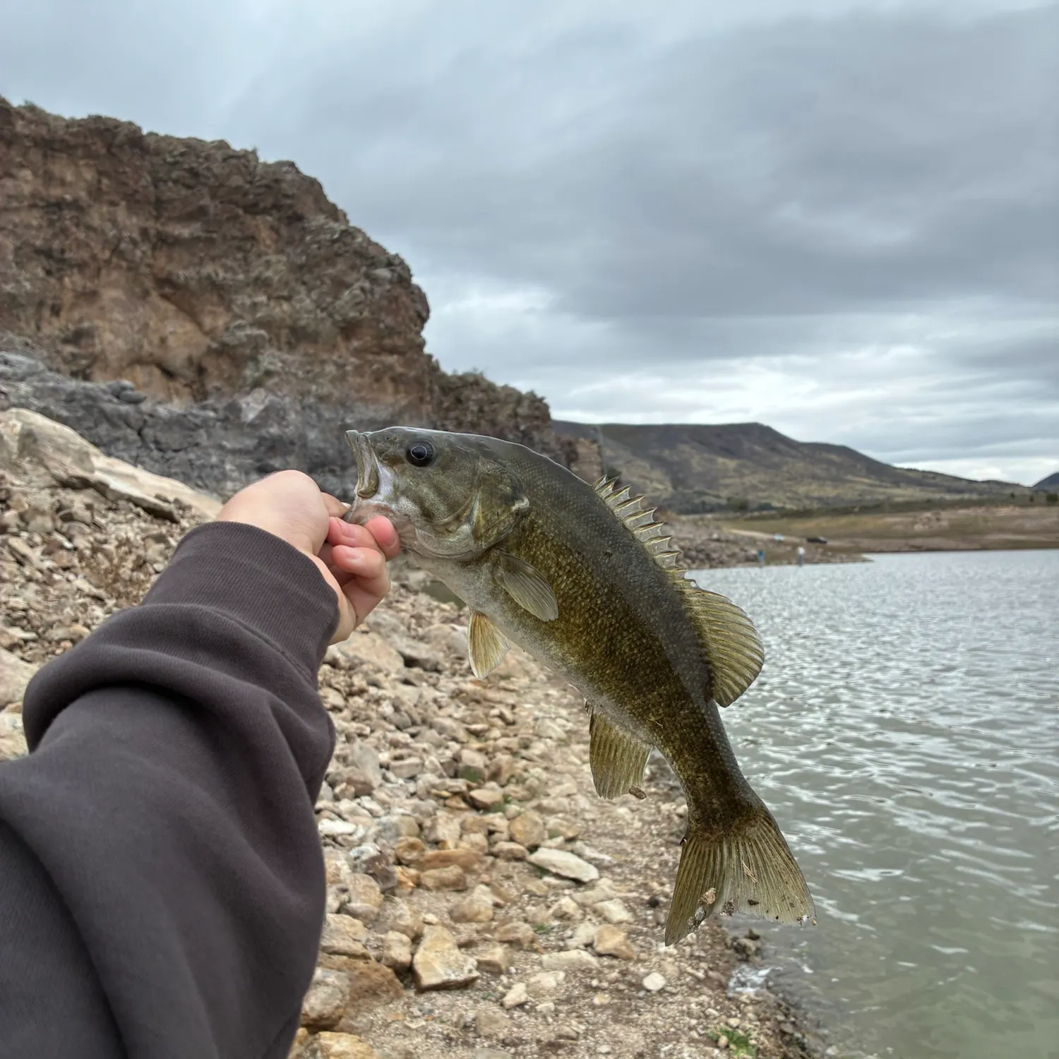 Smallmouth bass caught on Fishbrain
