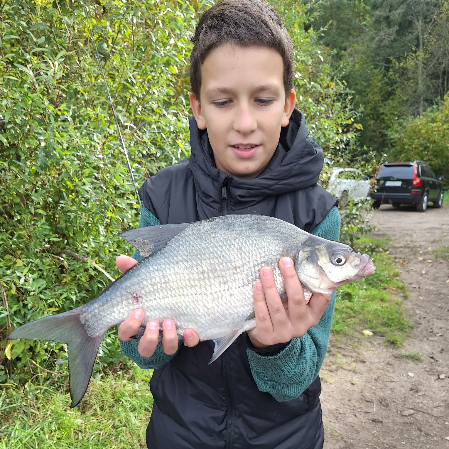 Common bream caught on Fishbrain