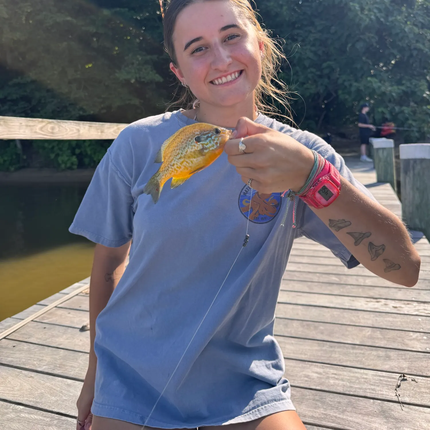 recently logged catches