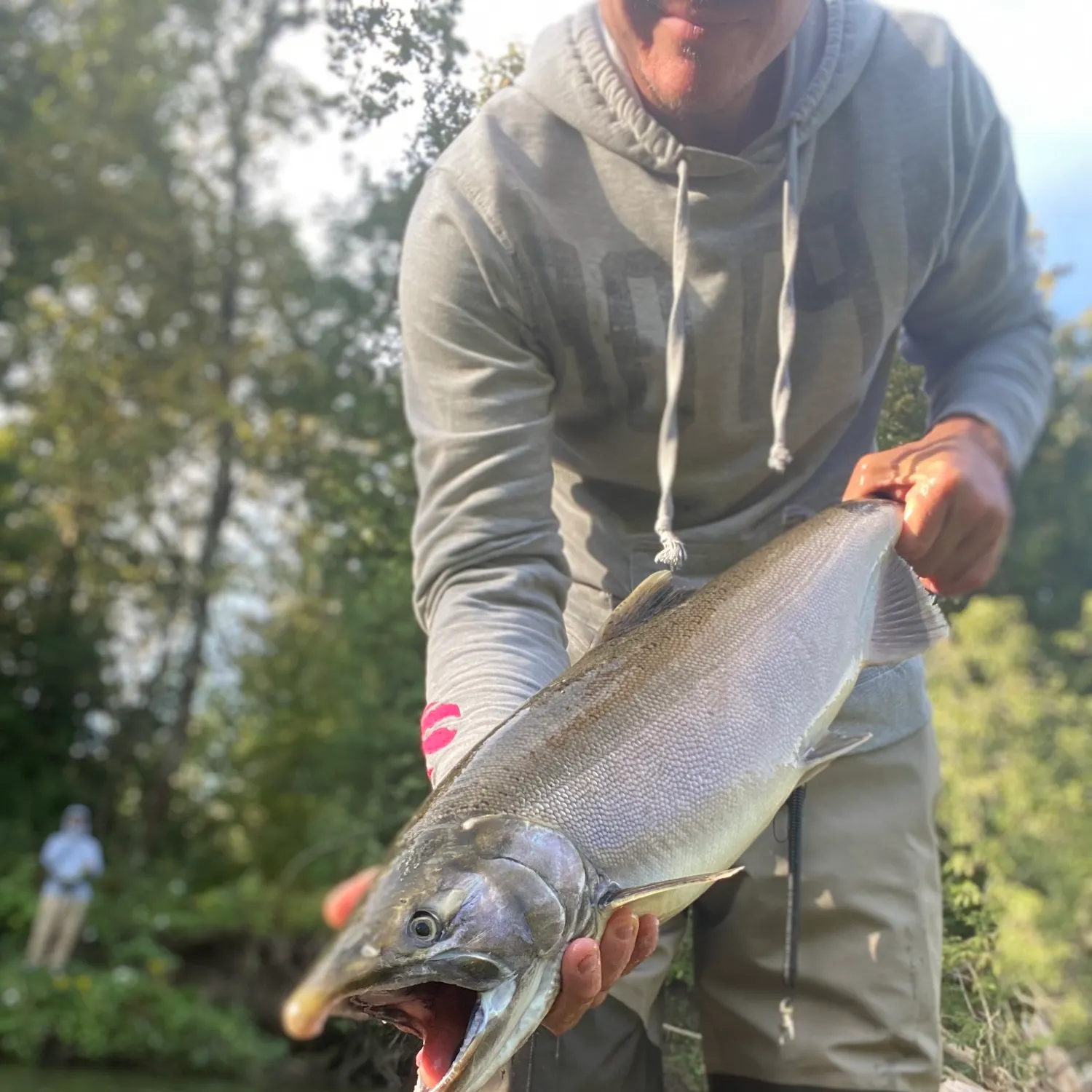 Coho salmon caught on Fishbrain