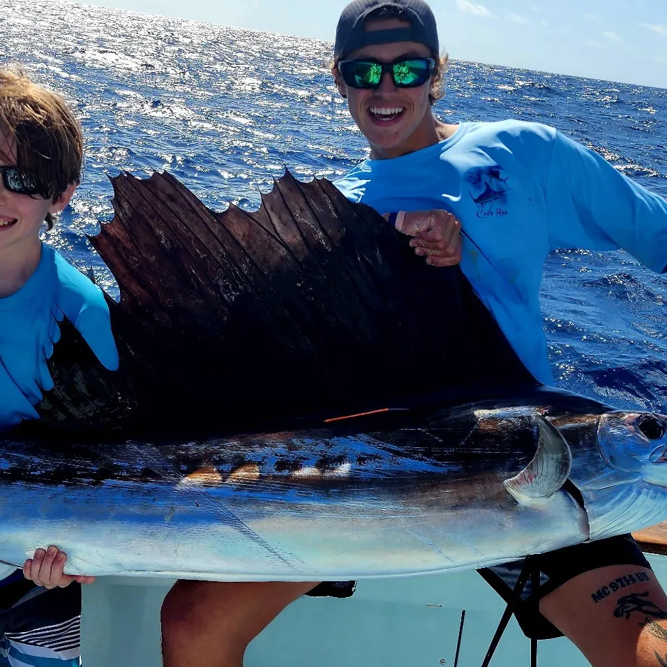 The most recent Atlantic sailfish catches on Fishbrain