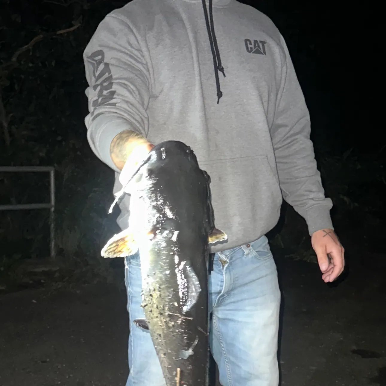 Channel catfish caught on Fishbrain