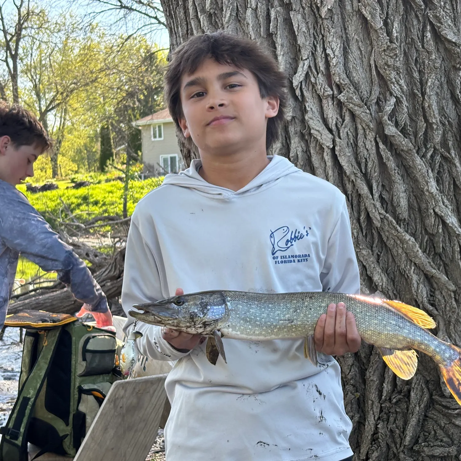 Northern pike caught on Fishbrain