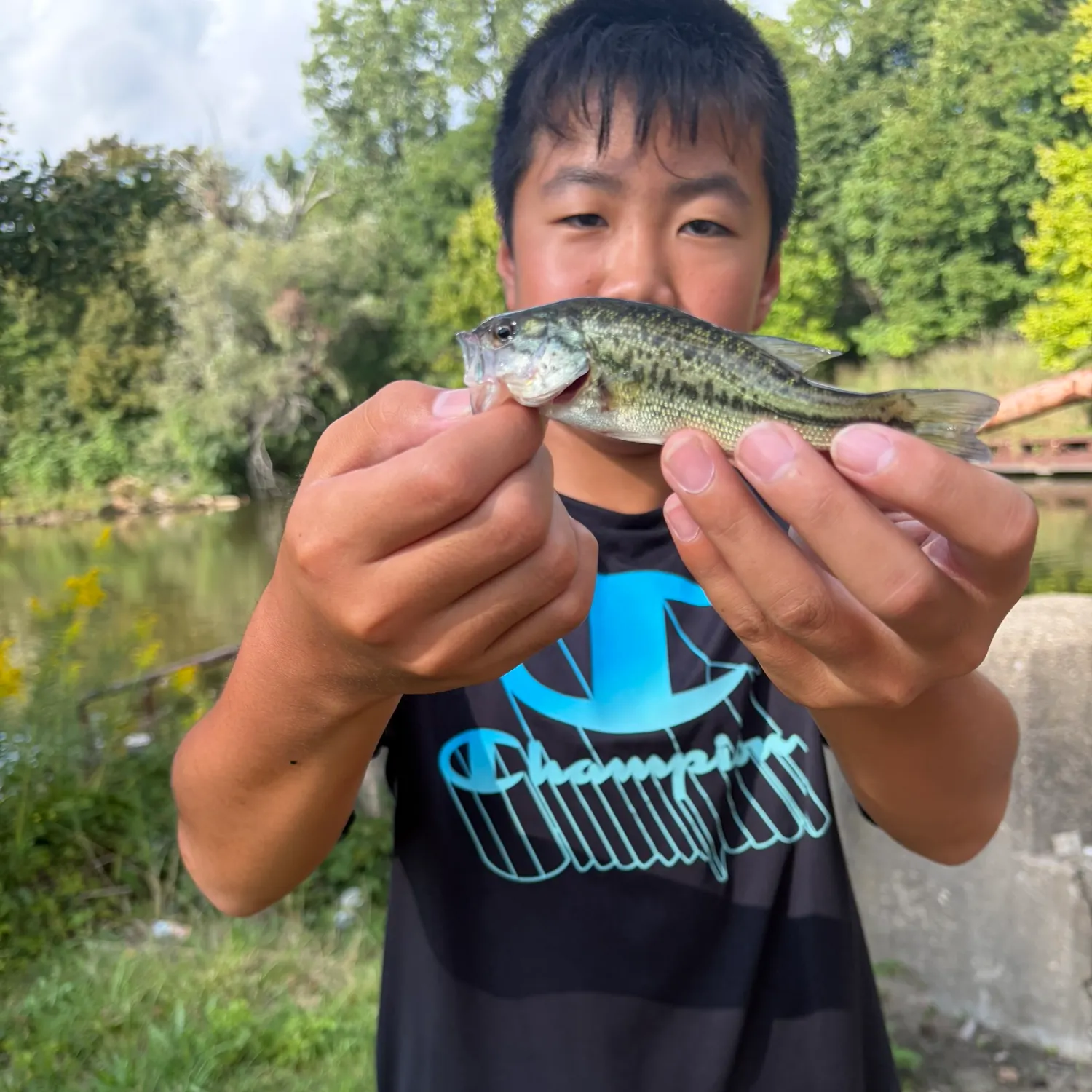Spotted bass caught on Fishbrain