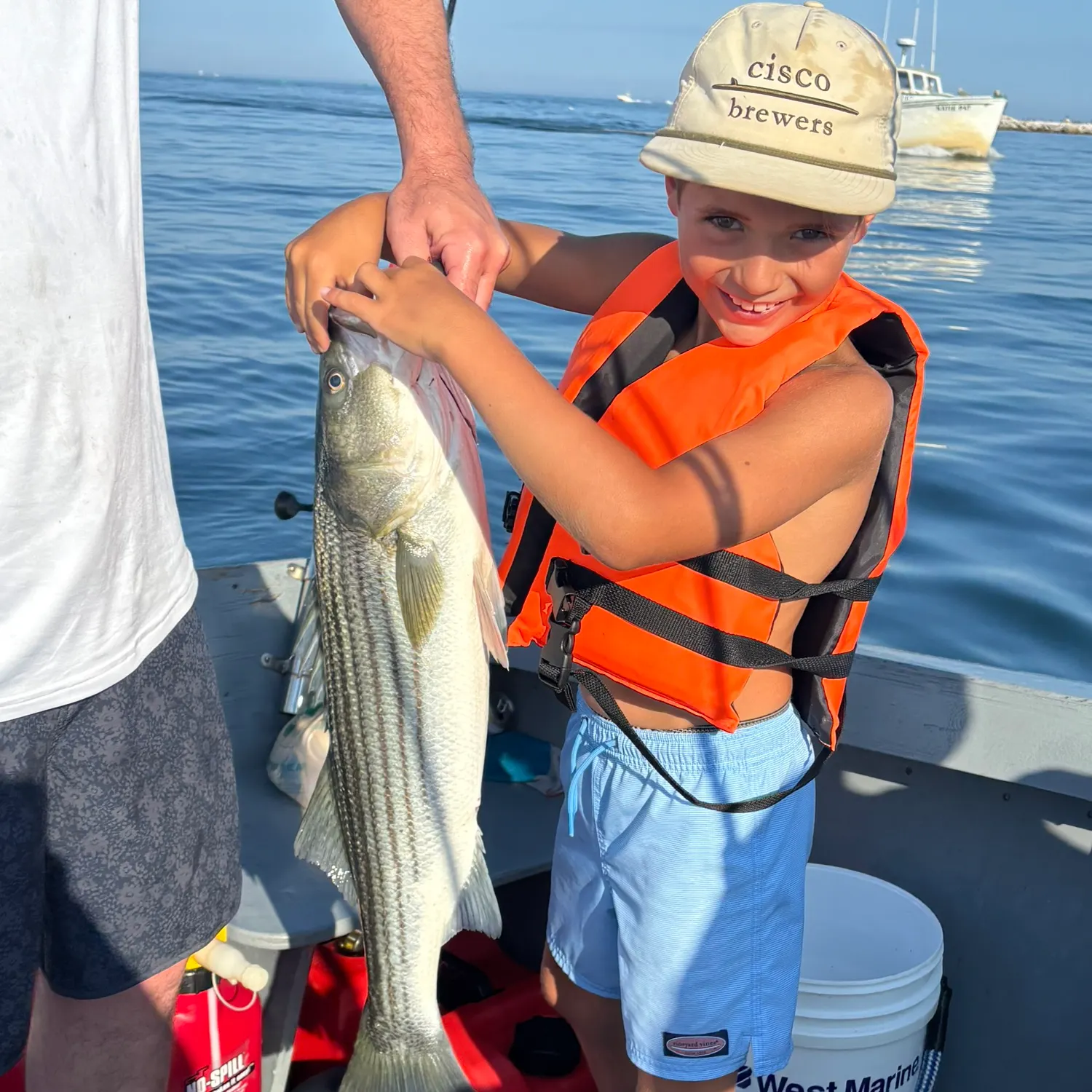 Striped bass caught on Fishbrain