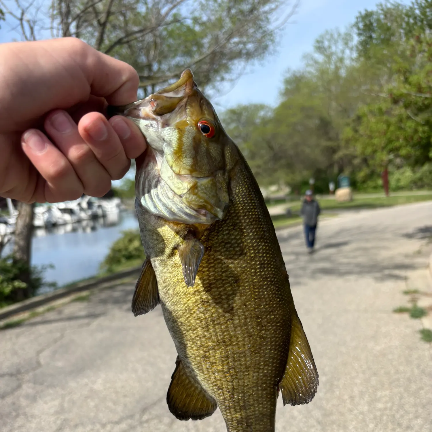catch