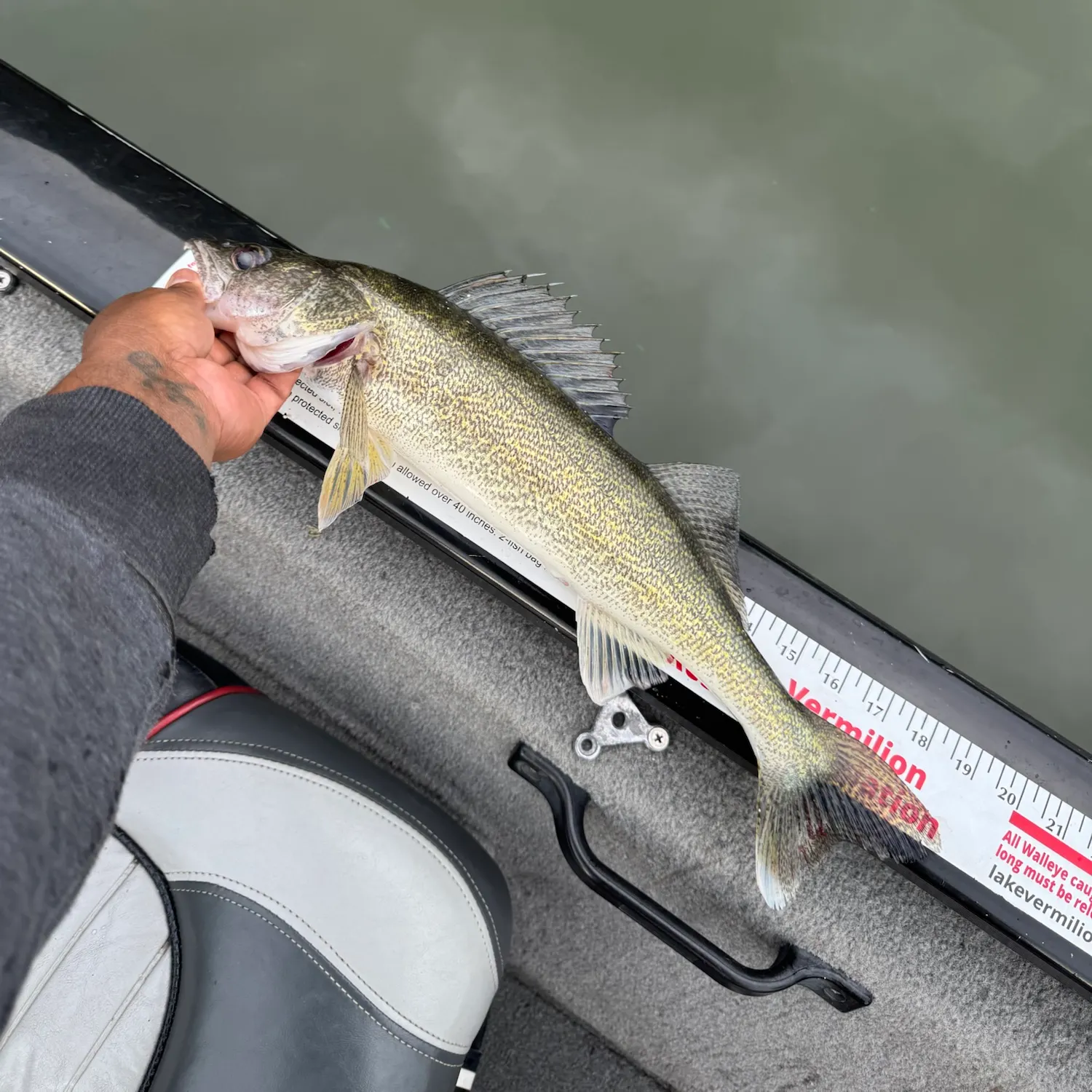 Walleye caught on Fishbrain
