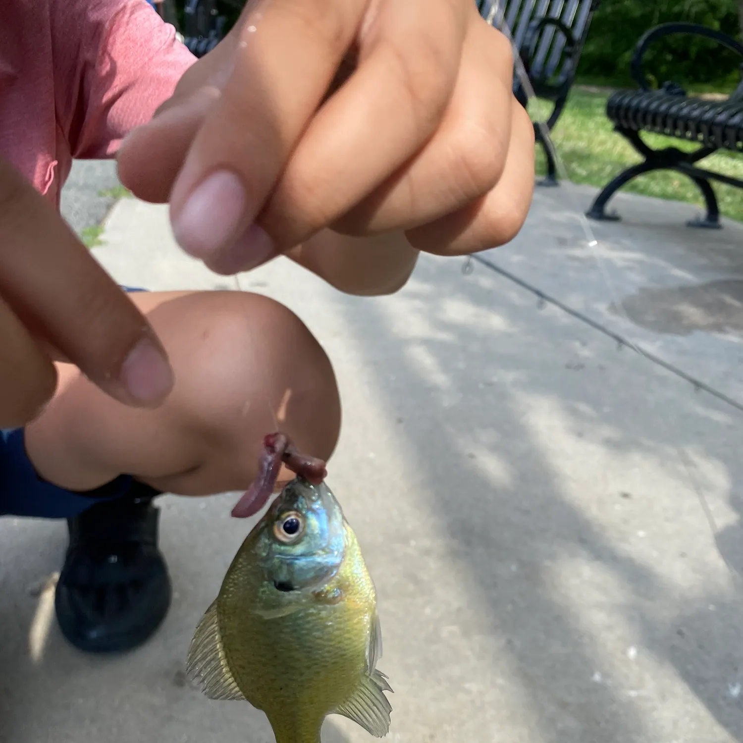 catch