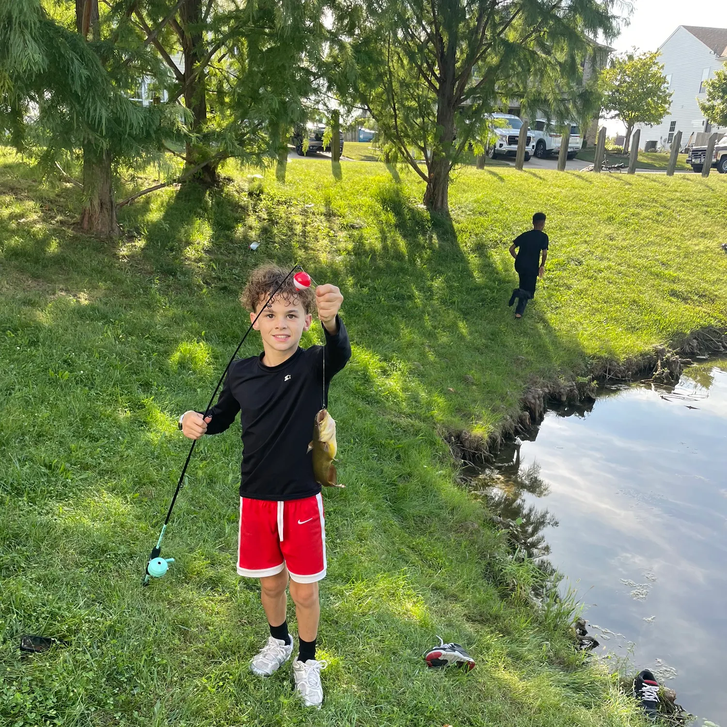 Yellow bullhead caught on Fishbrain