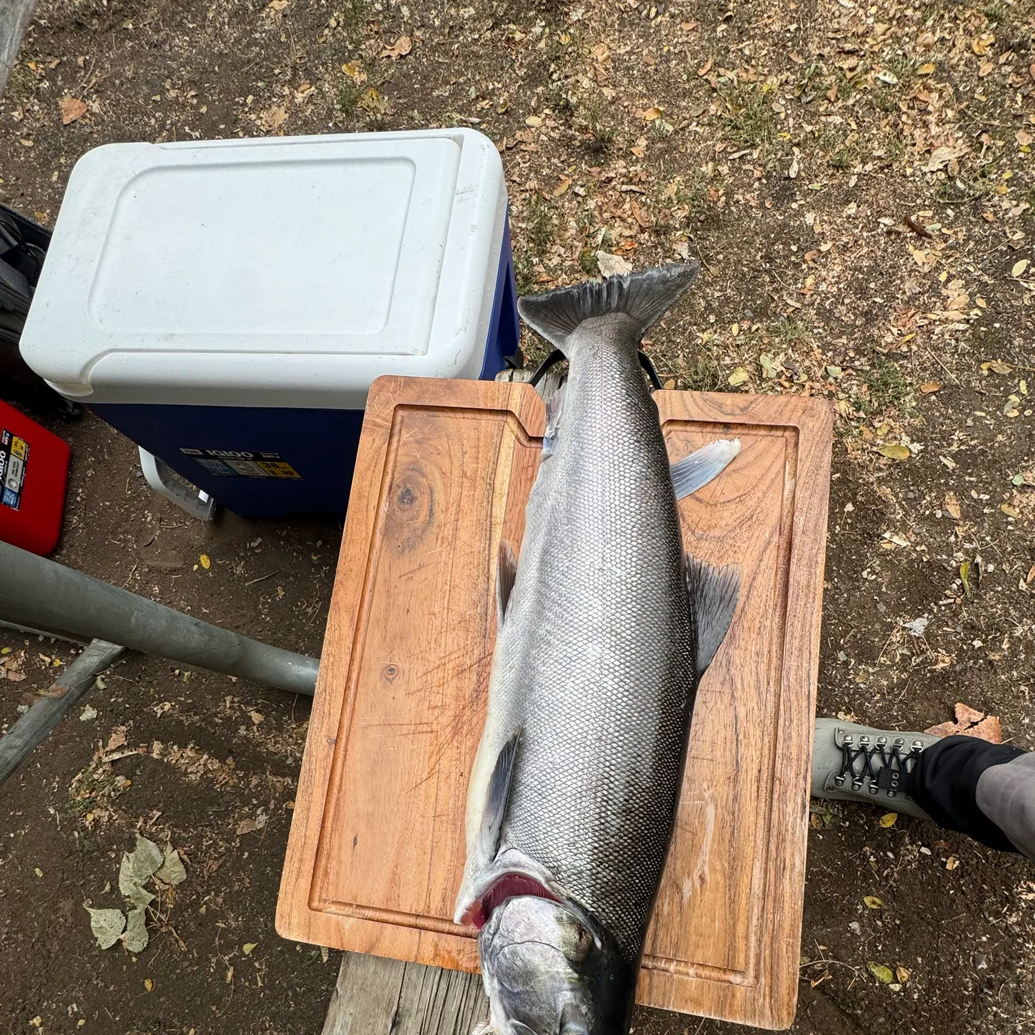 catch