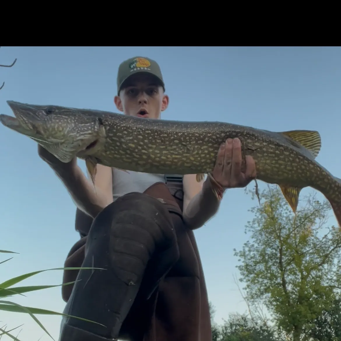 Northern pike caught on Fishbrain