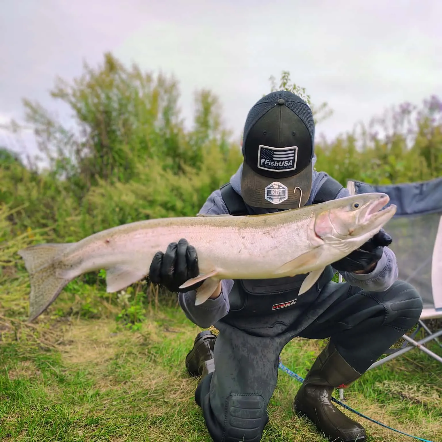 Steelhead caught on Fishbrain