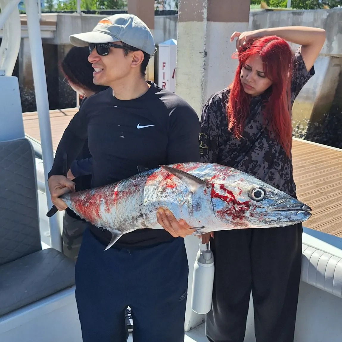 The most recent King mackerel catches on Fishbrain