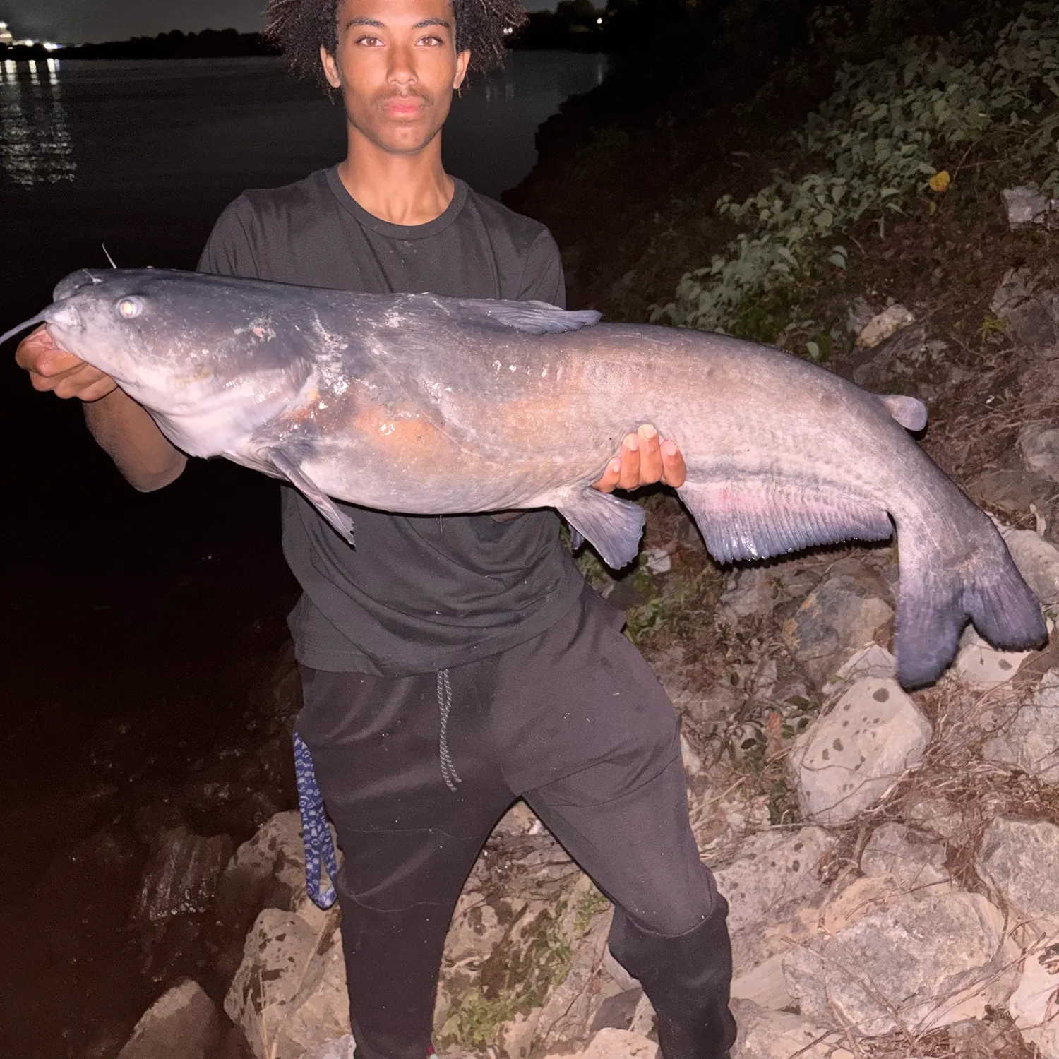Blue catfish caught on Fishbrain
