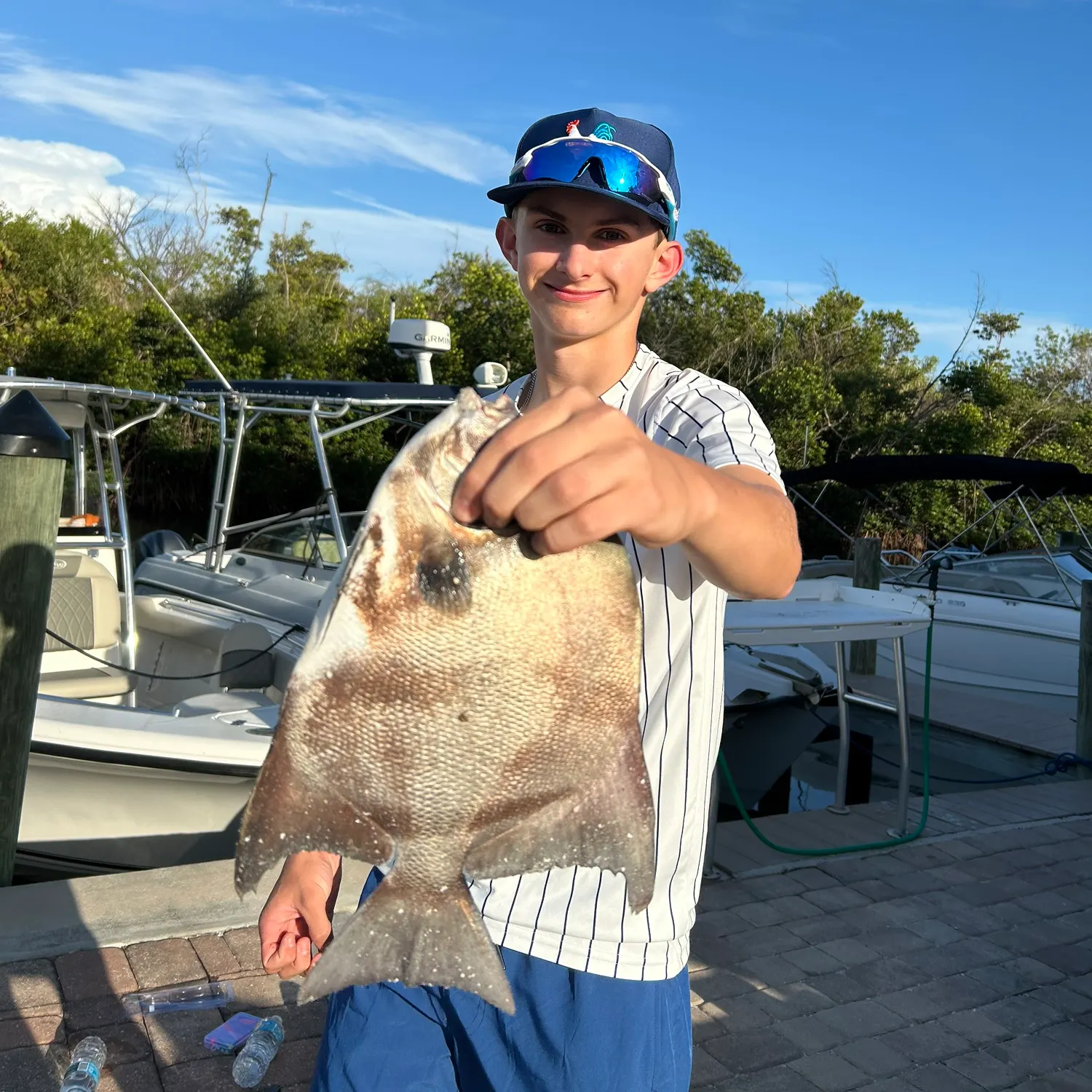 The most recent Atlantic spadefish catches on Fishbrain