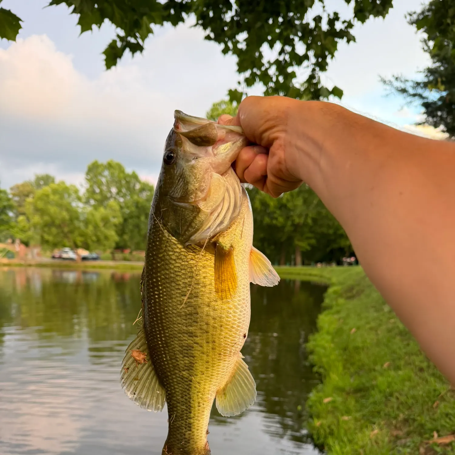 catch