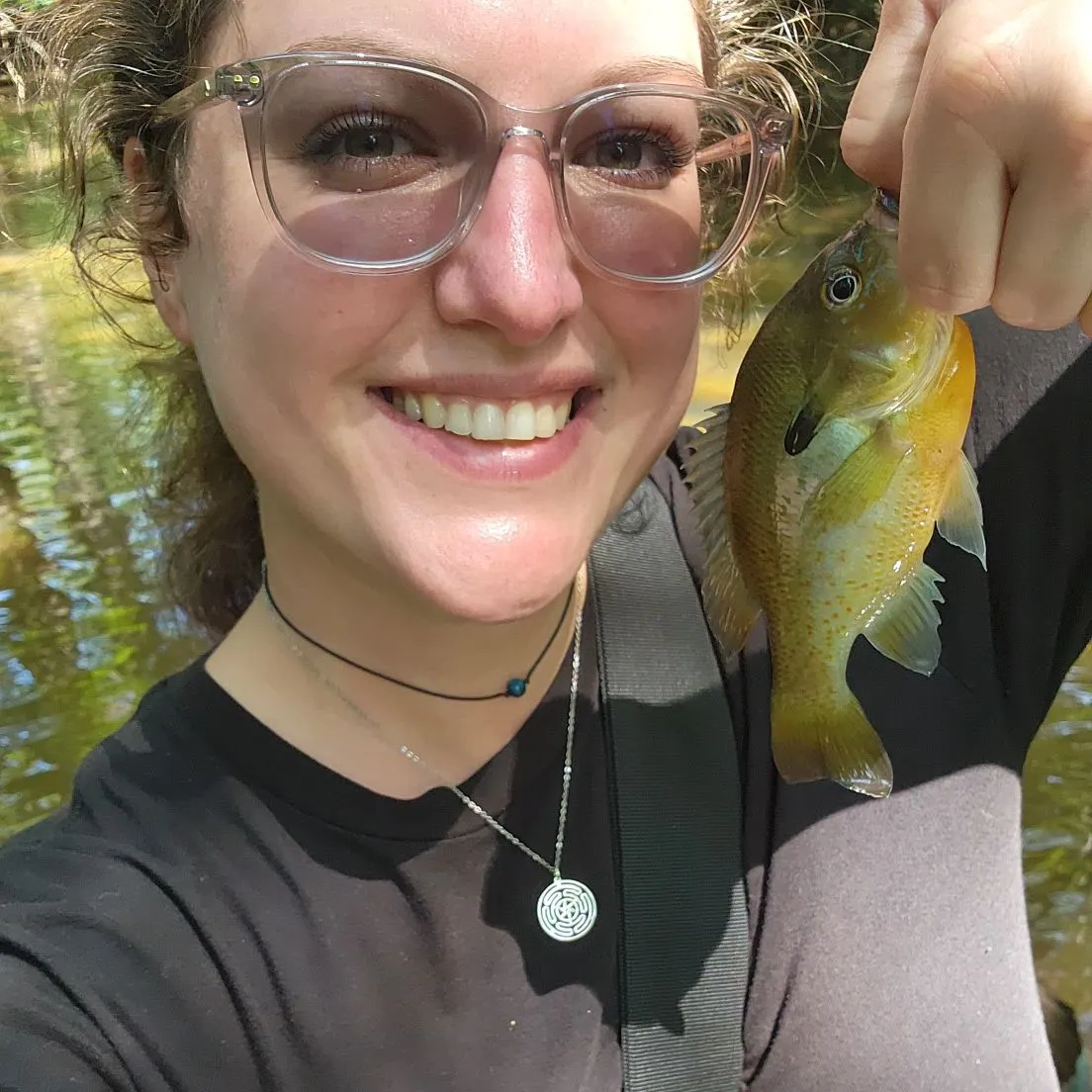 Redbreast sunfish caught on Fishbrain
