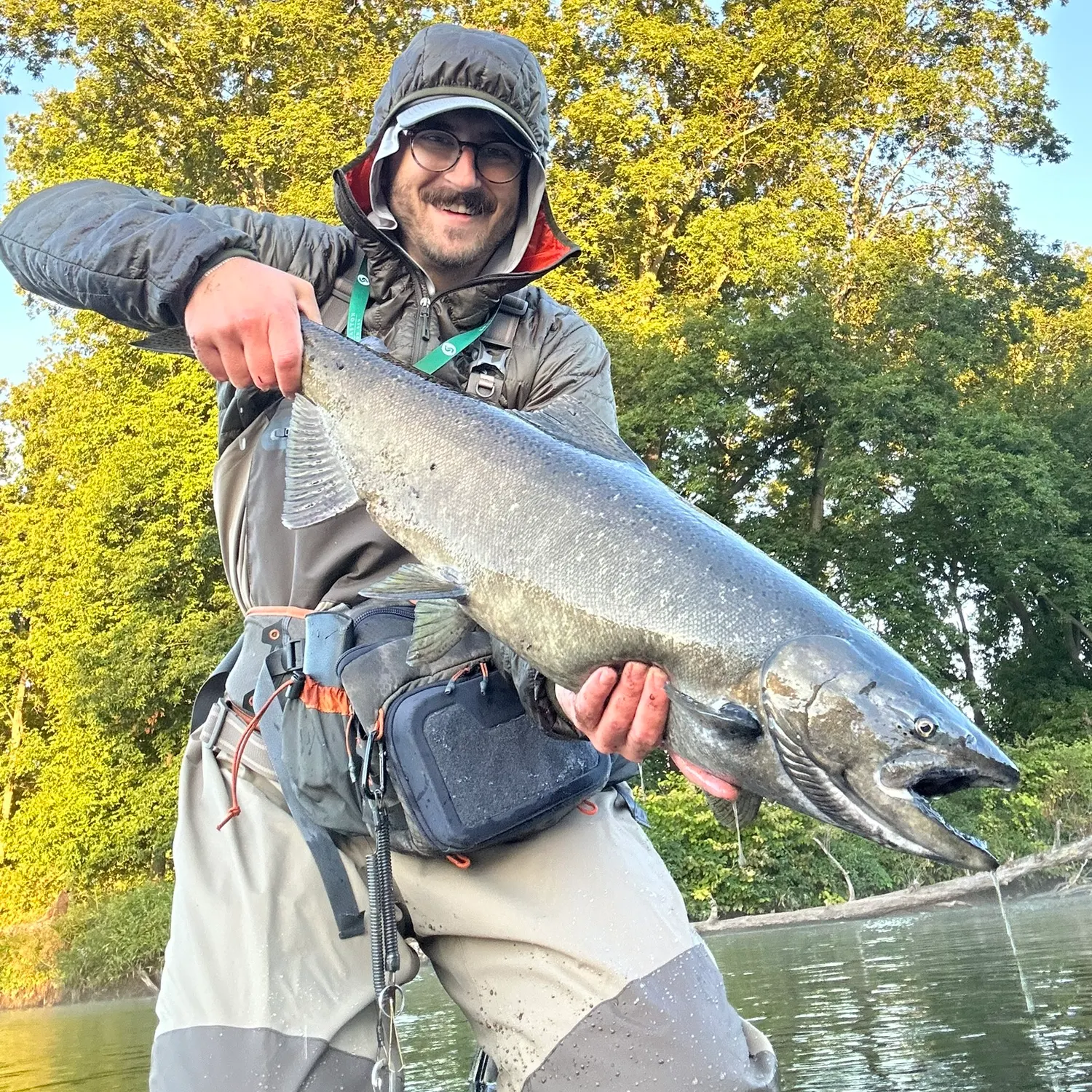 Chinook salmon caught on Fishbrain