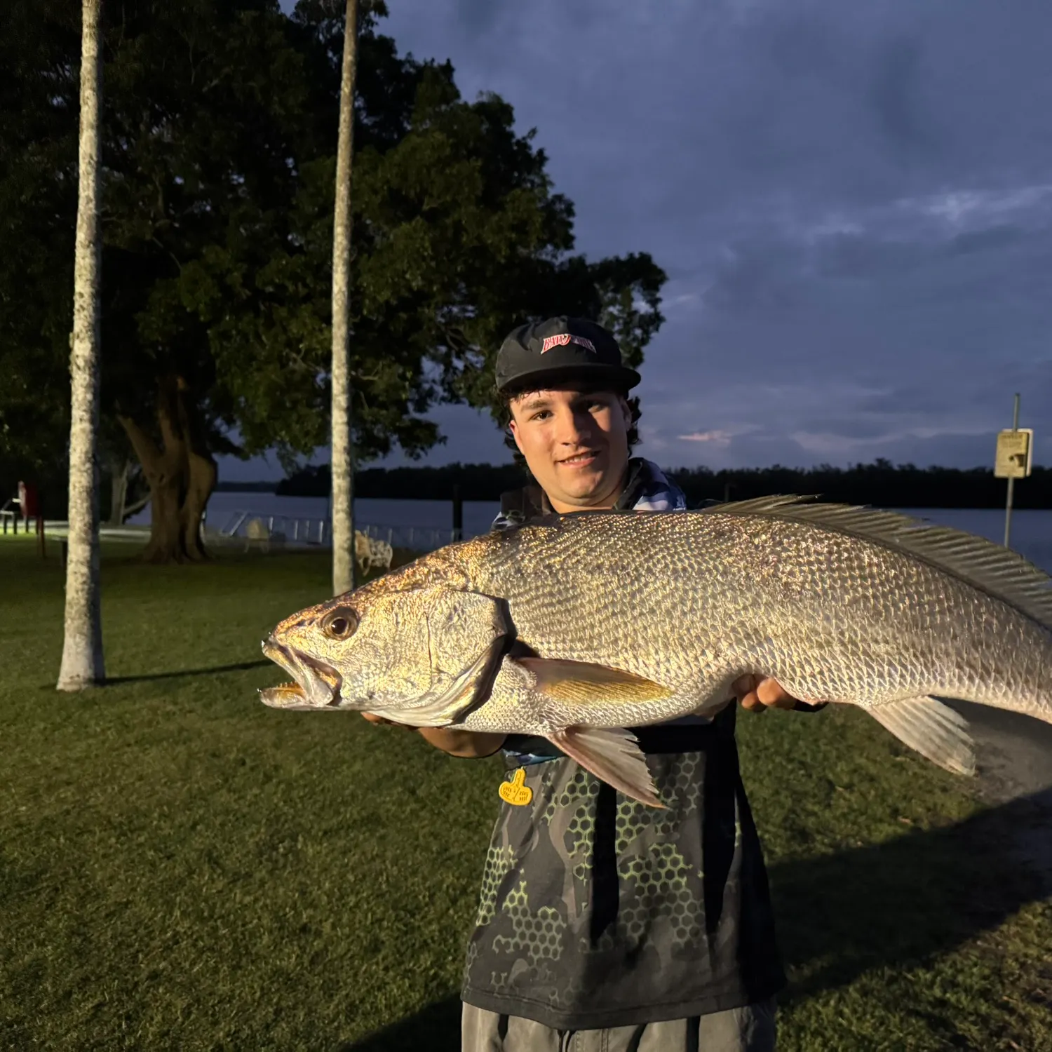 The most recent Japanese meagre catches on Fishbrain