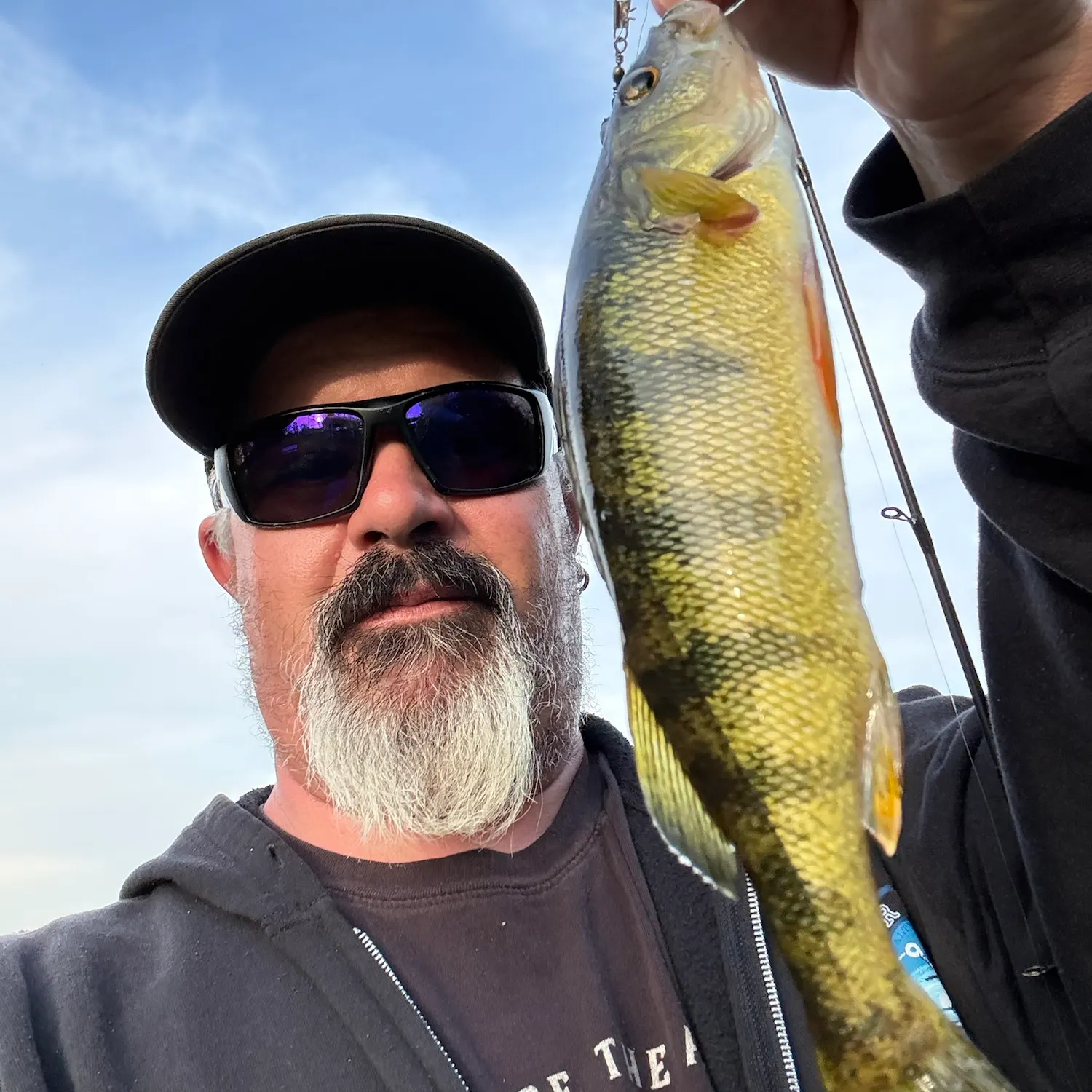 Yellow perch caught on Fishbrain