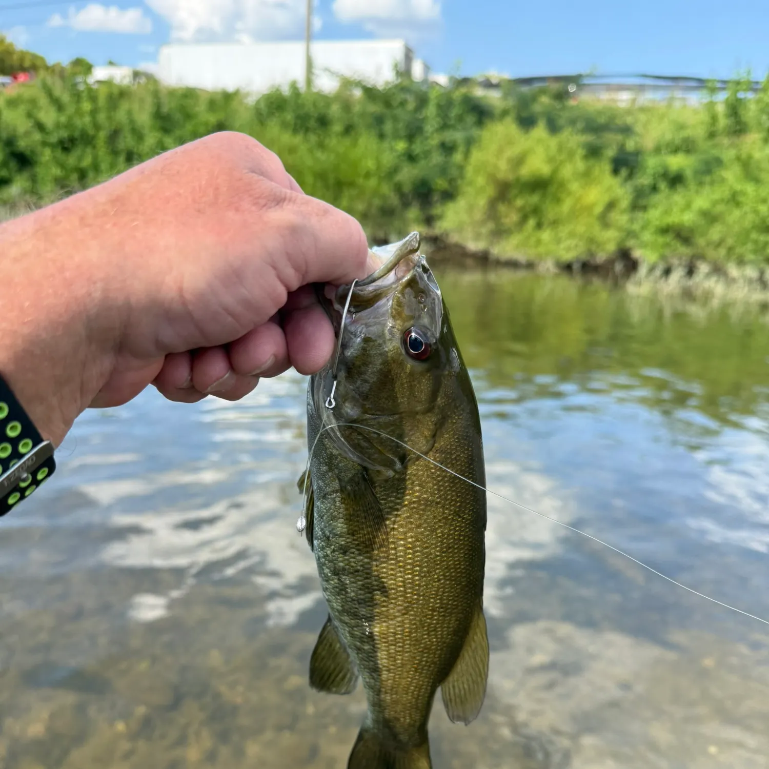 catch