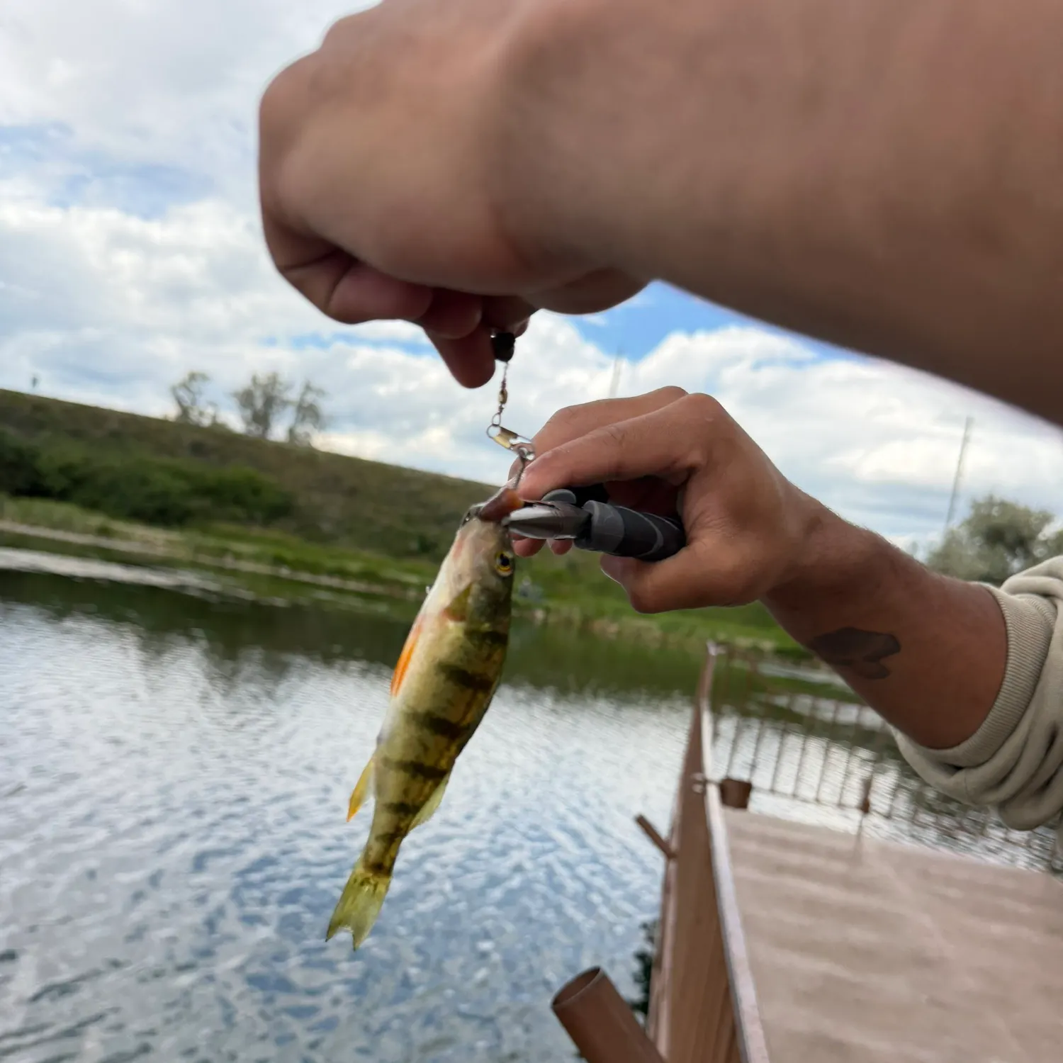 catch